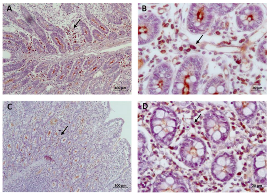 Animals 14 02779 g006