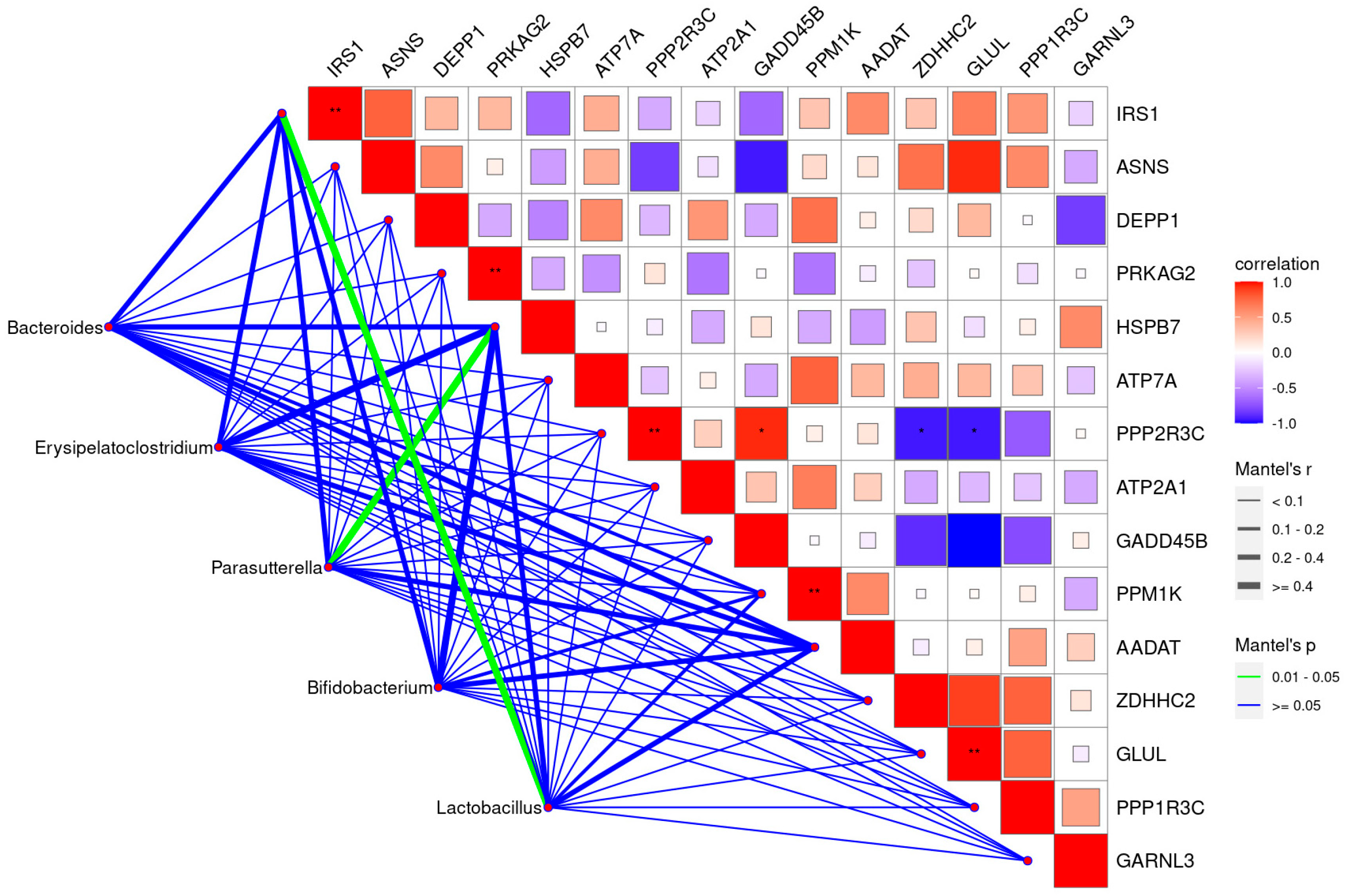 Animals 14 02780 g005