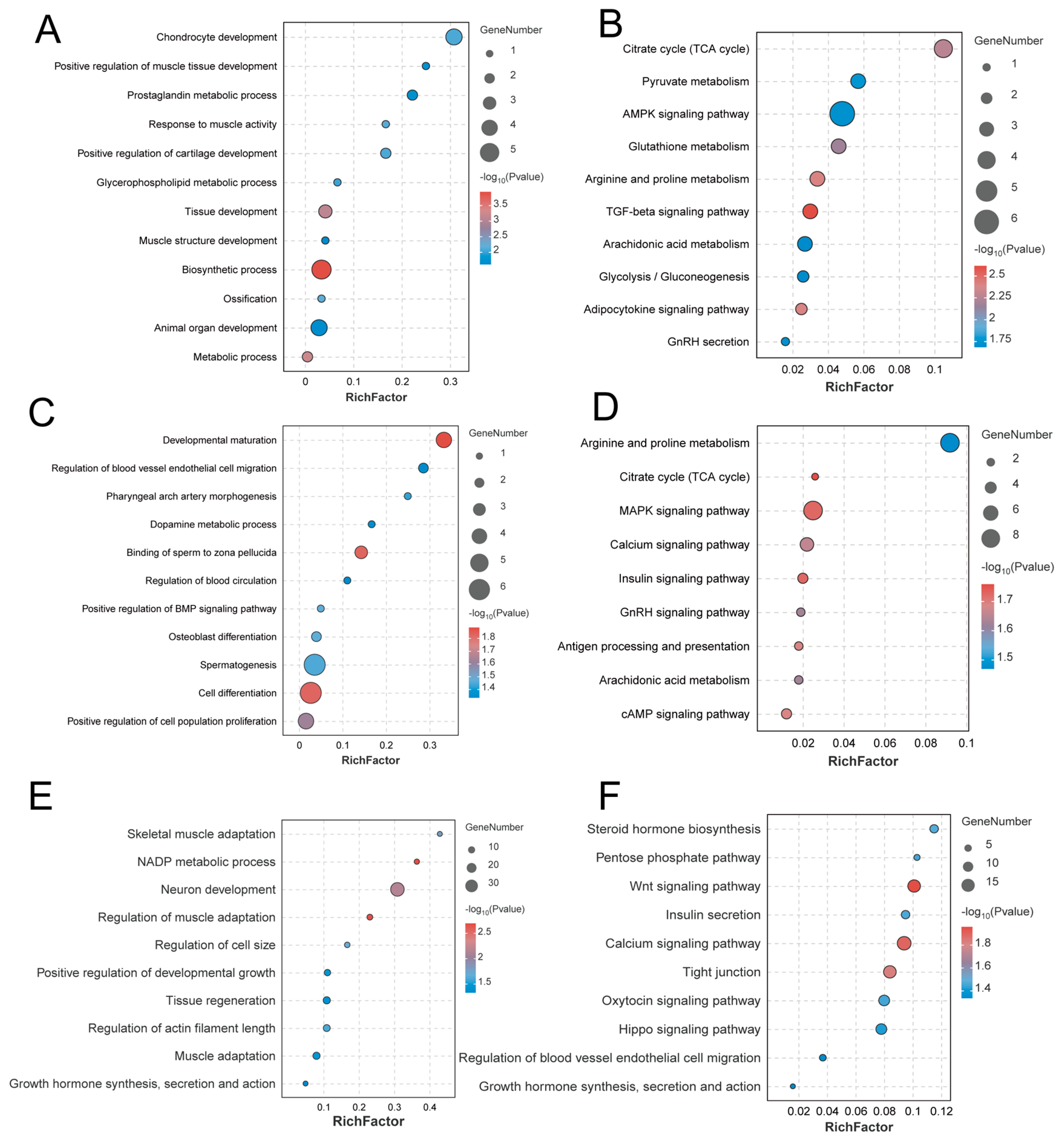 Animals 14 02784 g006