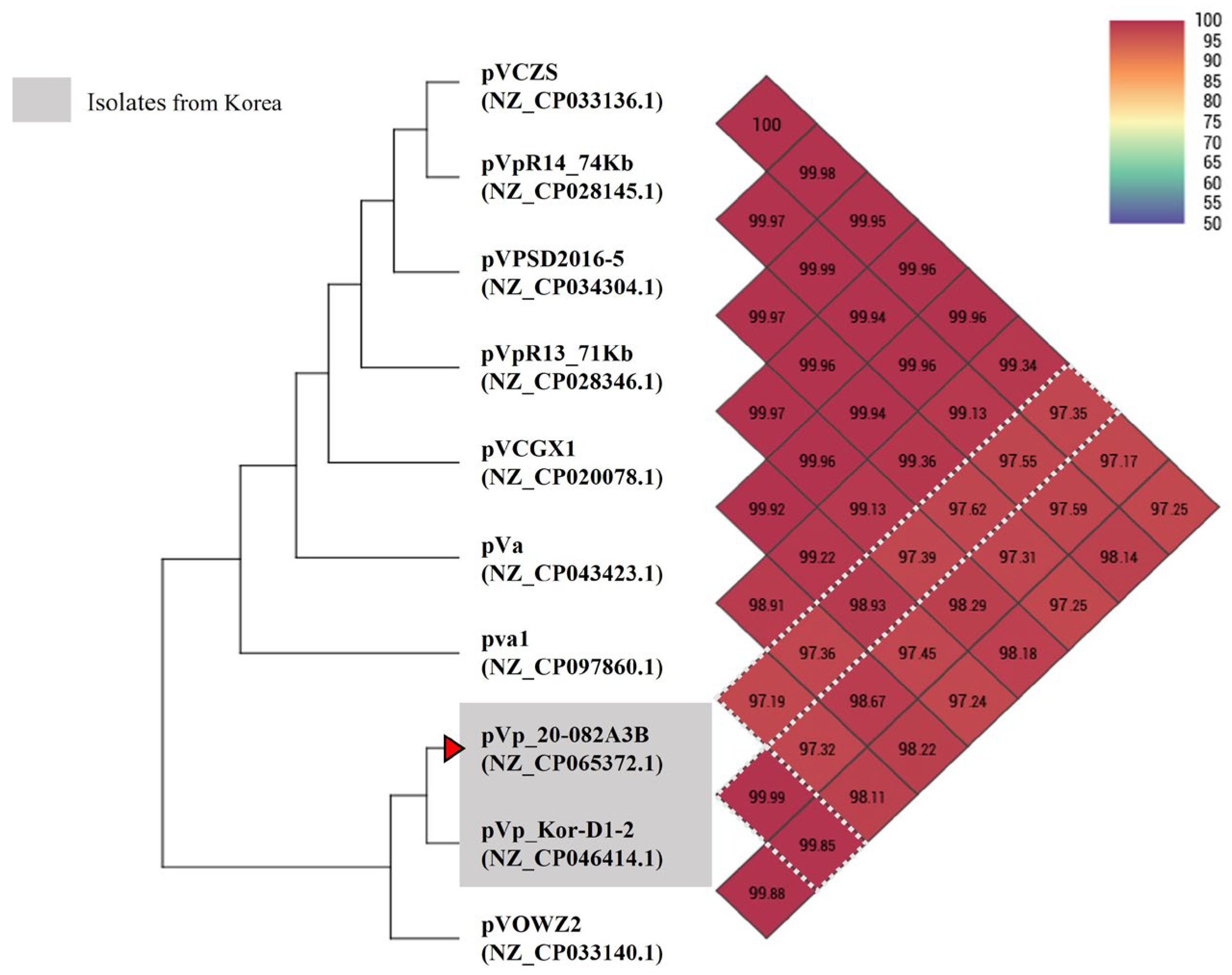 Animals 14 02788 g002