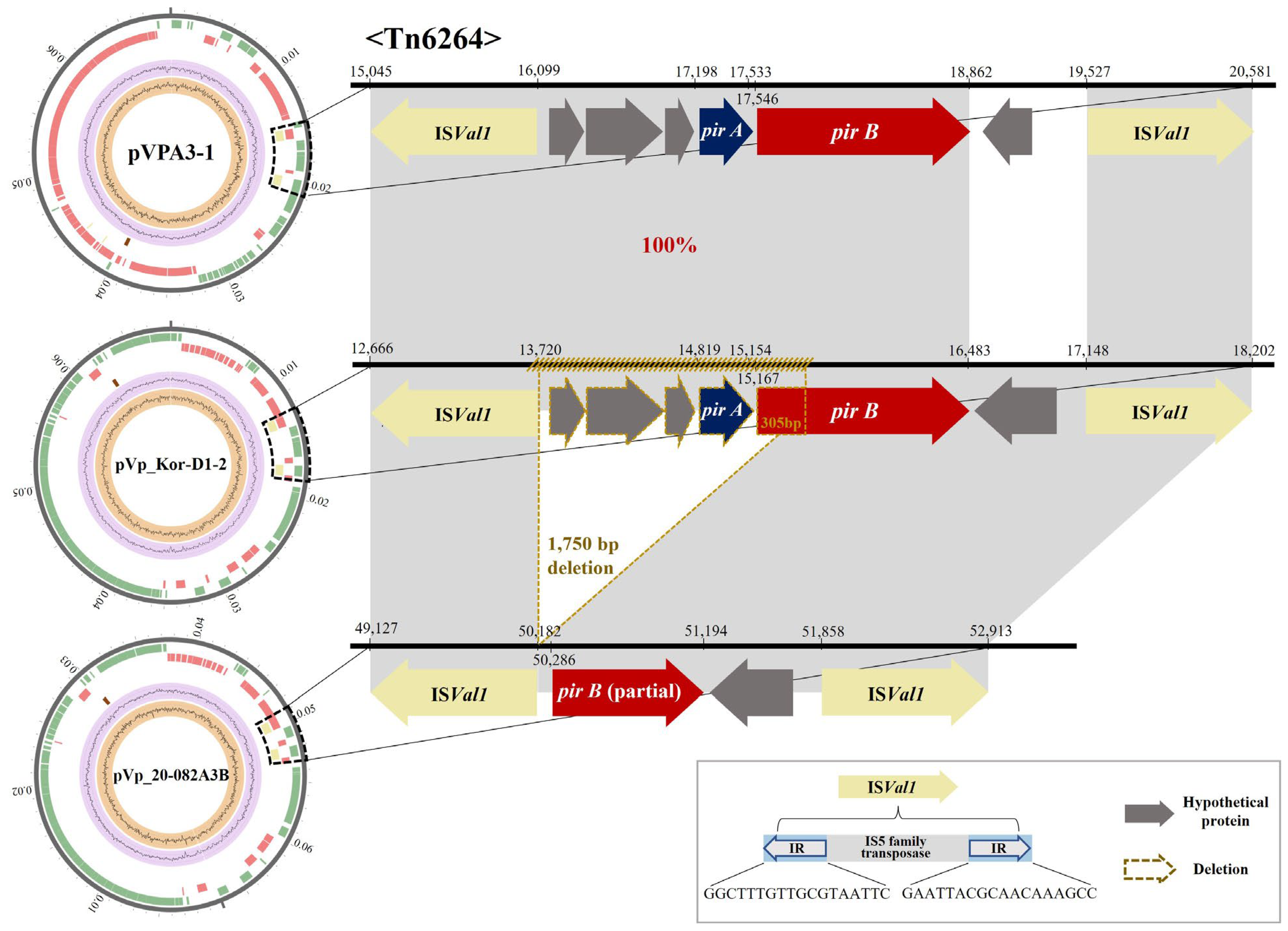 Animals 14 02788 g003