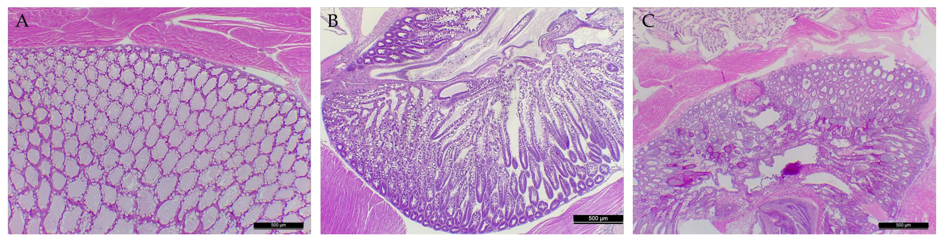 Animals 14 02788 g005