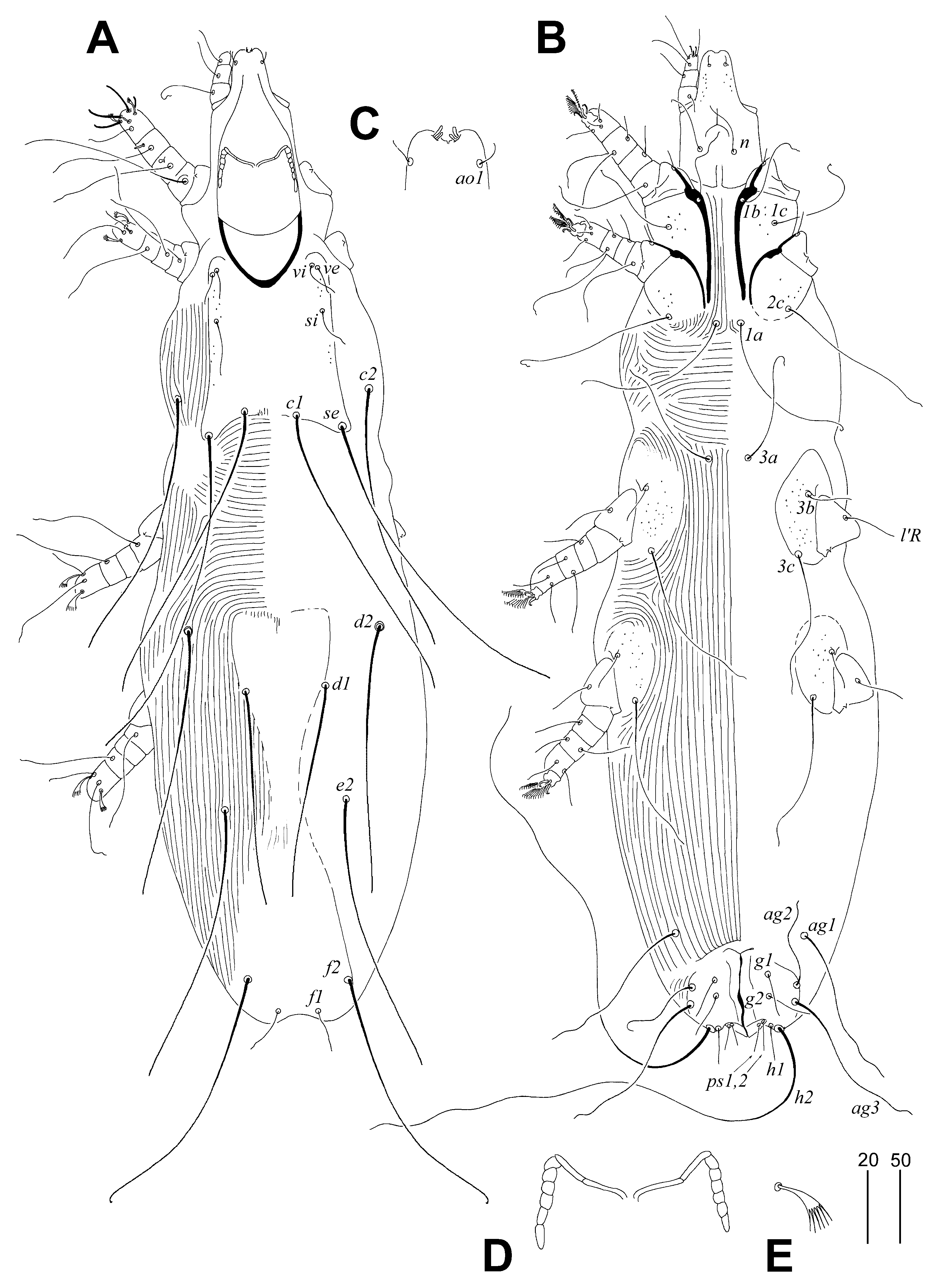 Animals 14 02790 g001