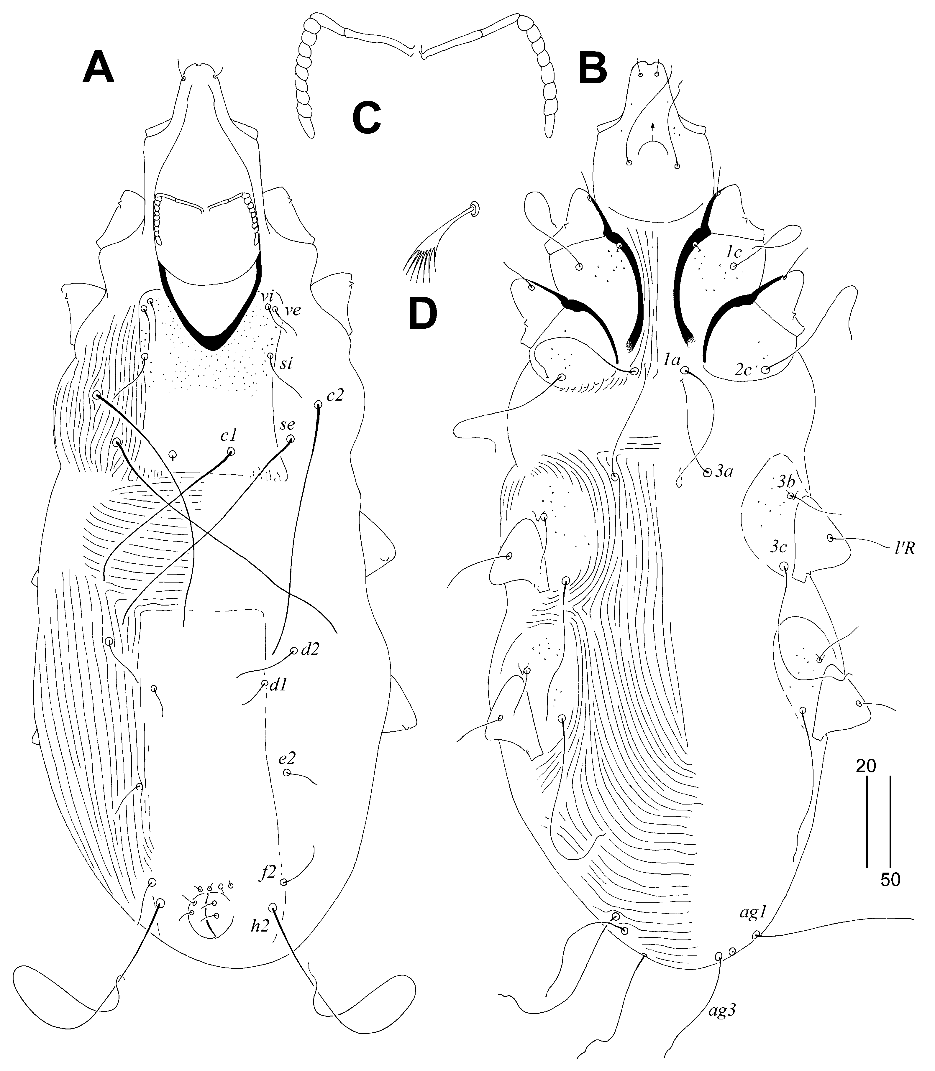 Animals 14 02790 g002