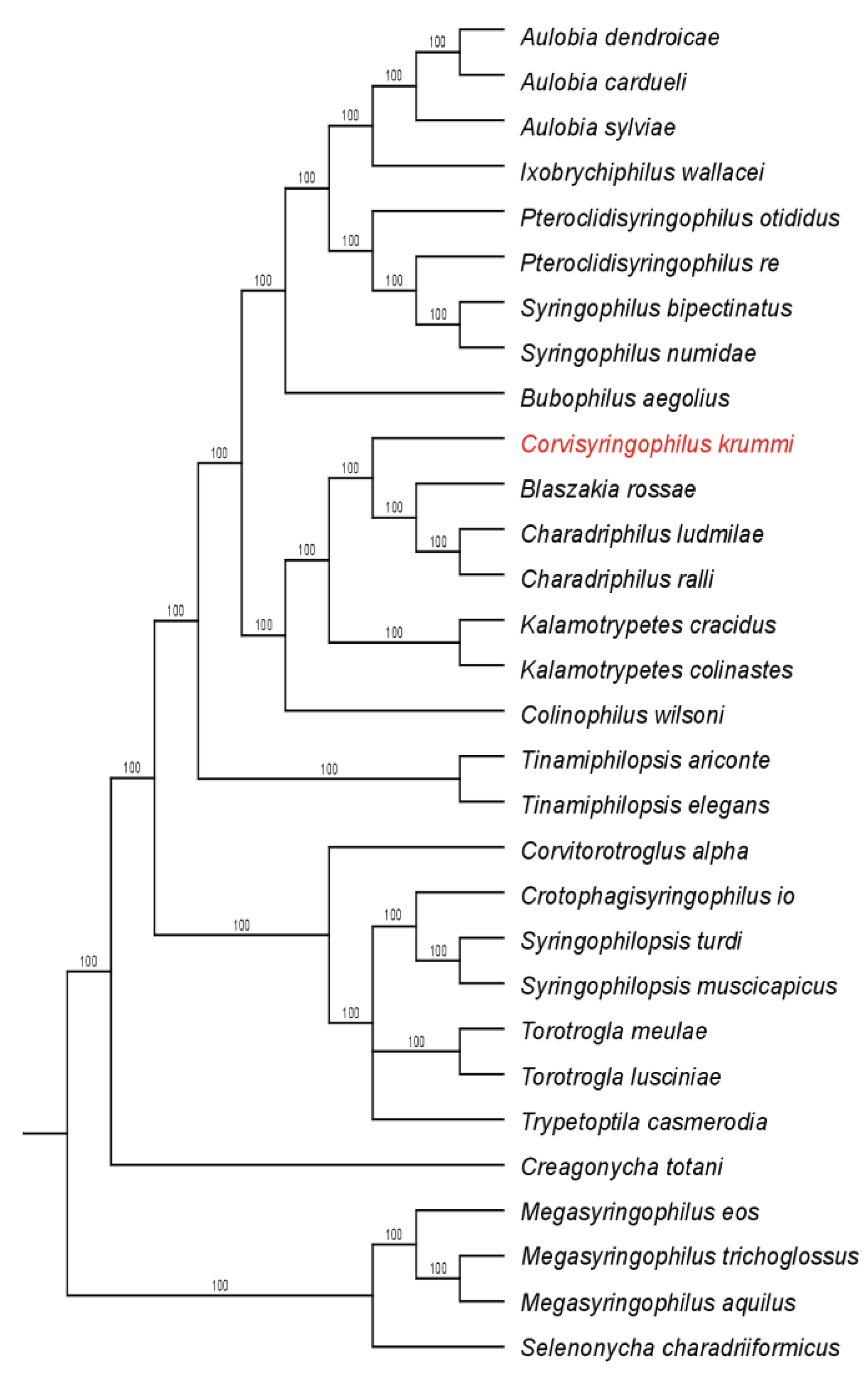 Animals 14 02790 g003