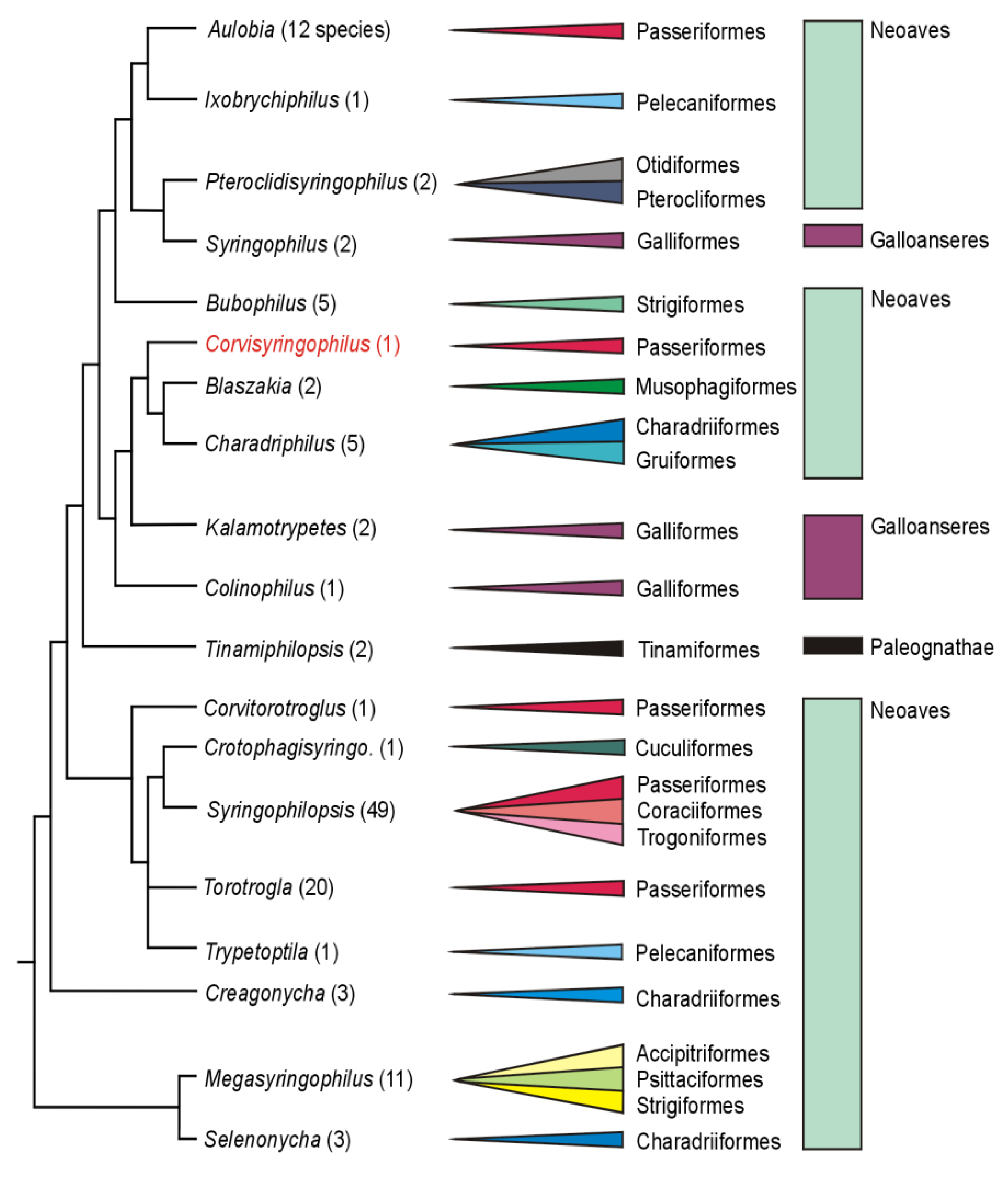 Animals 14 02790 g004