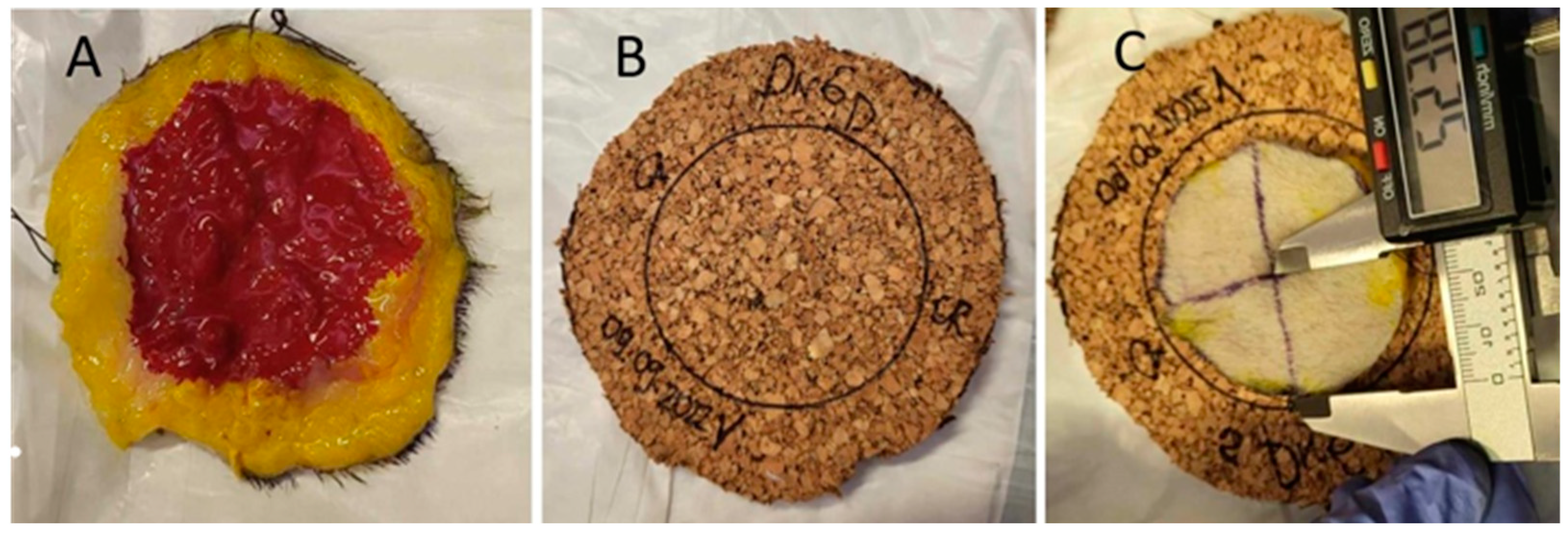 Animals 14 02791 g002