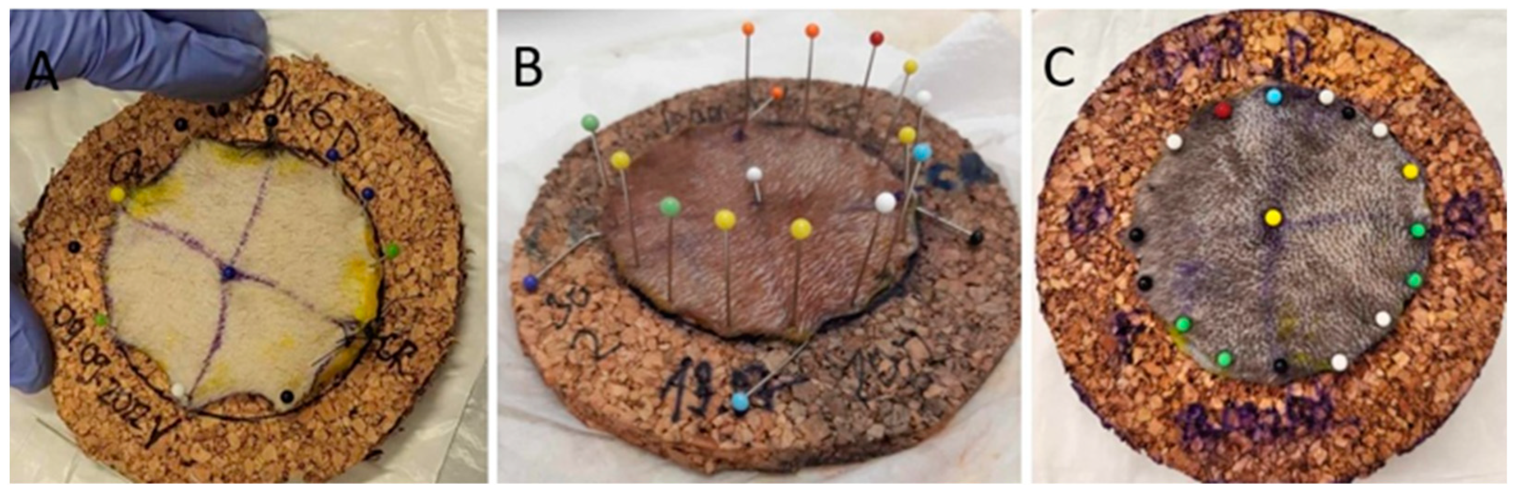 Animals 14 02791 g003