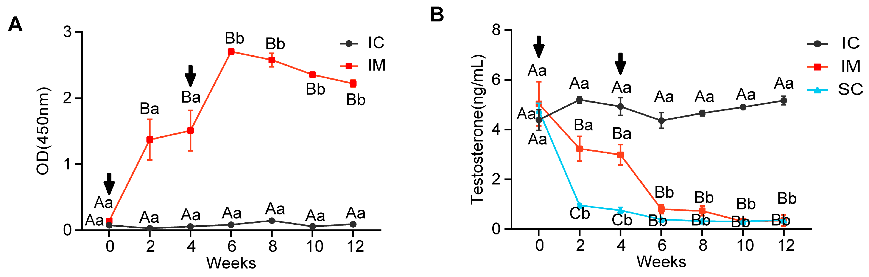 Animals 14 02796 g002