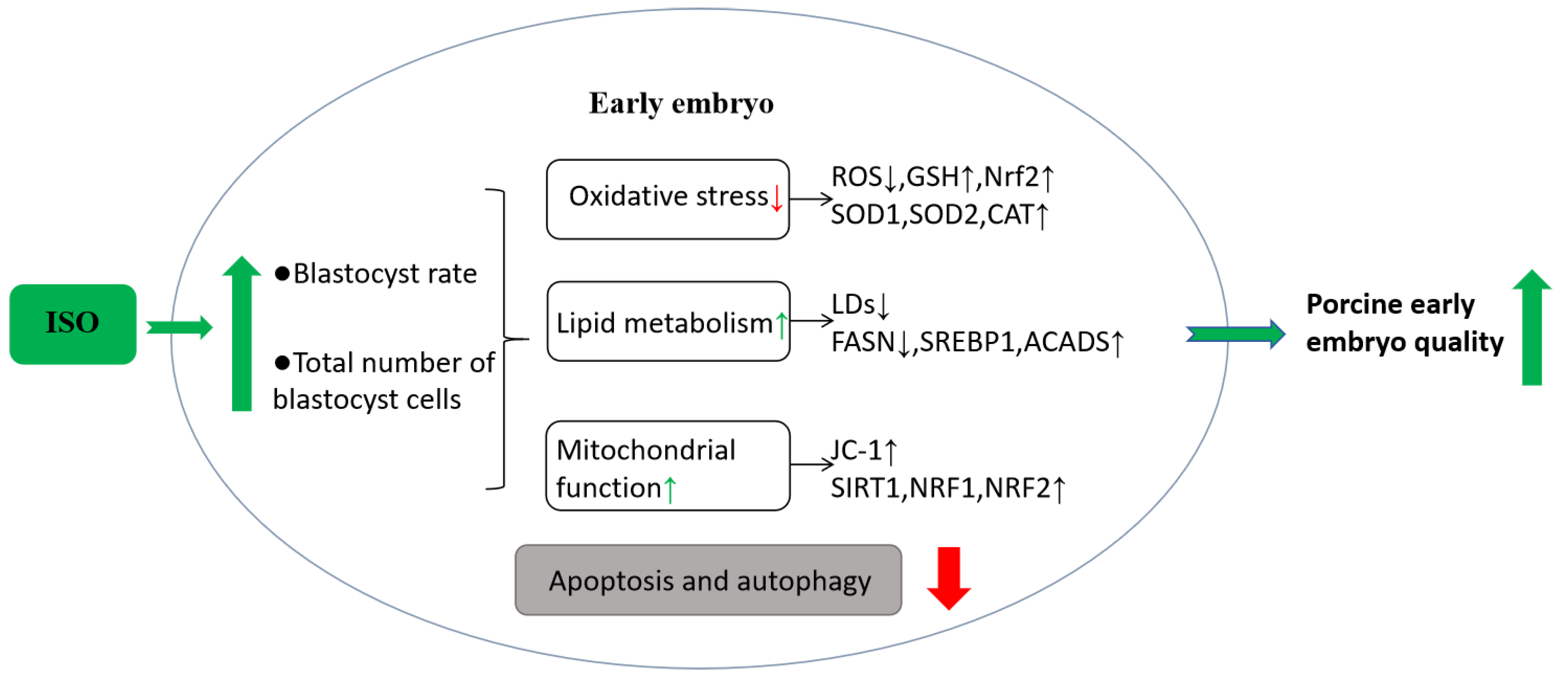 Animals 14 02806 g007 Animals 14 02806 g007