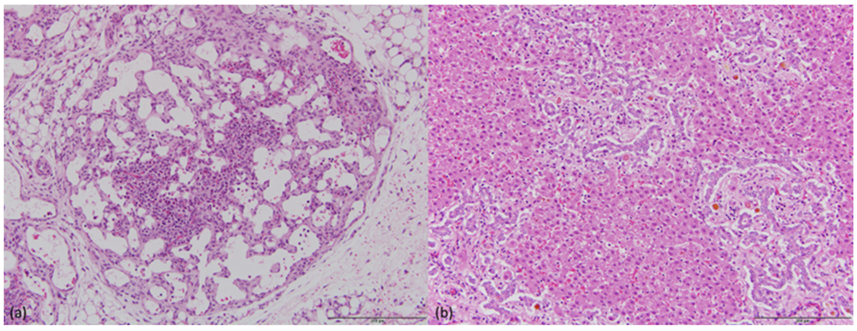 Animals 14 02811 g002