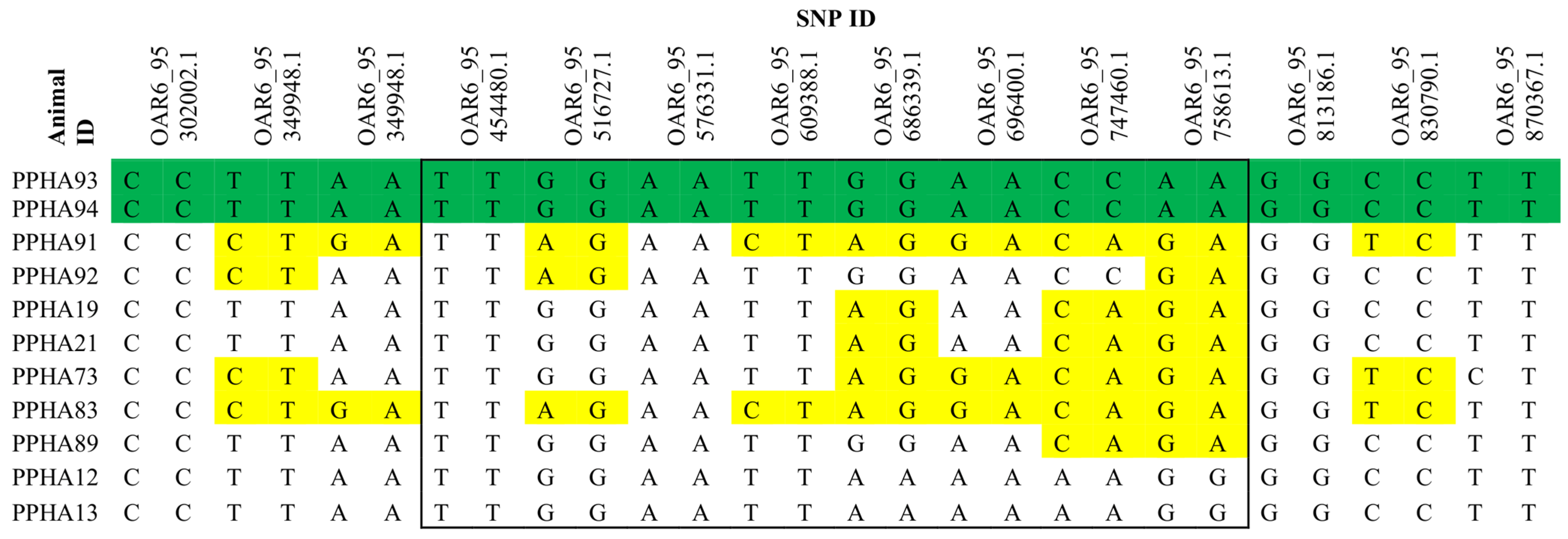 Animals 14 02811 g003