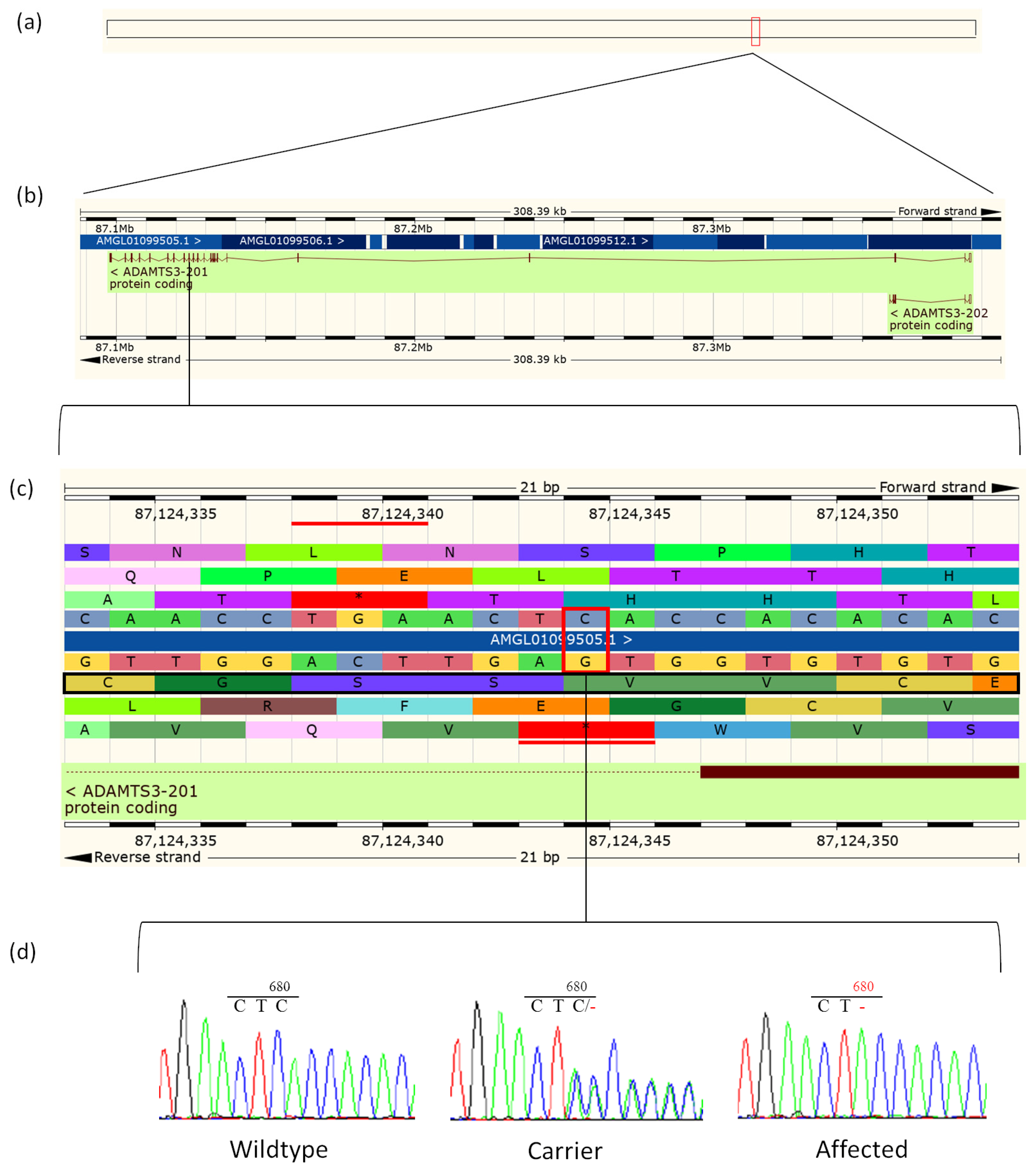 Animals 14 02811 g004