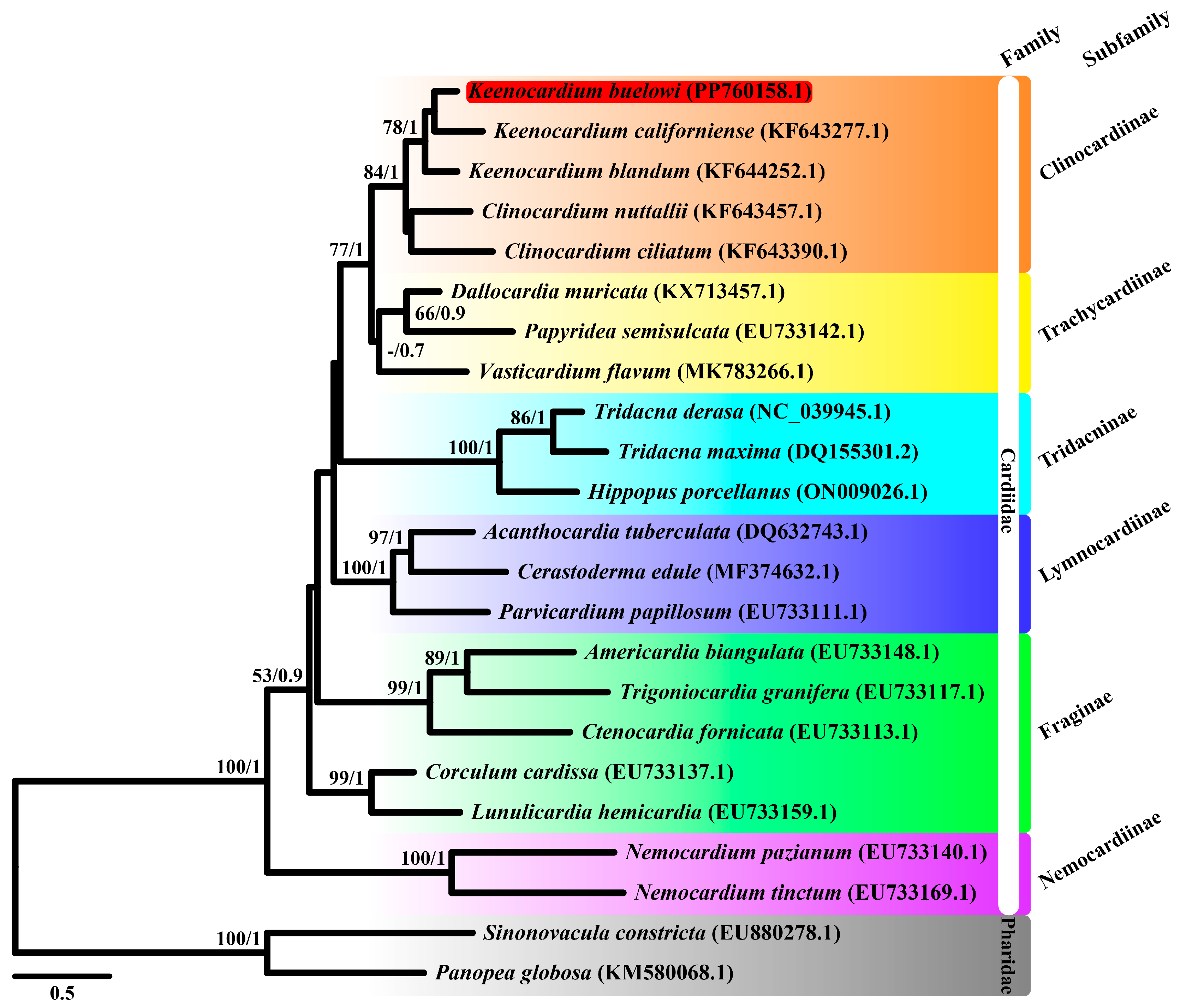 Animals 14 02812 g002