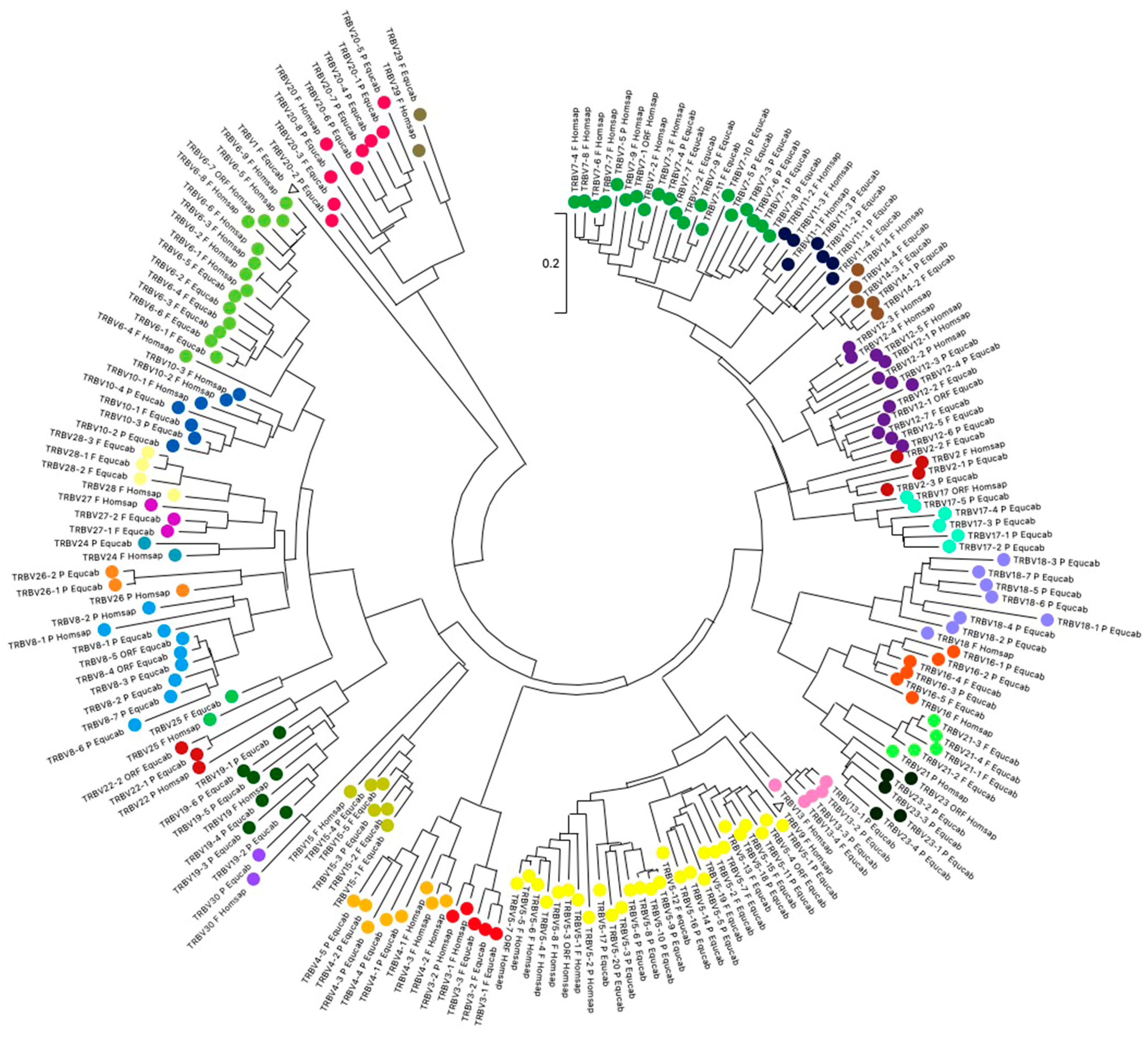 Animals 14 02817 g002