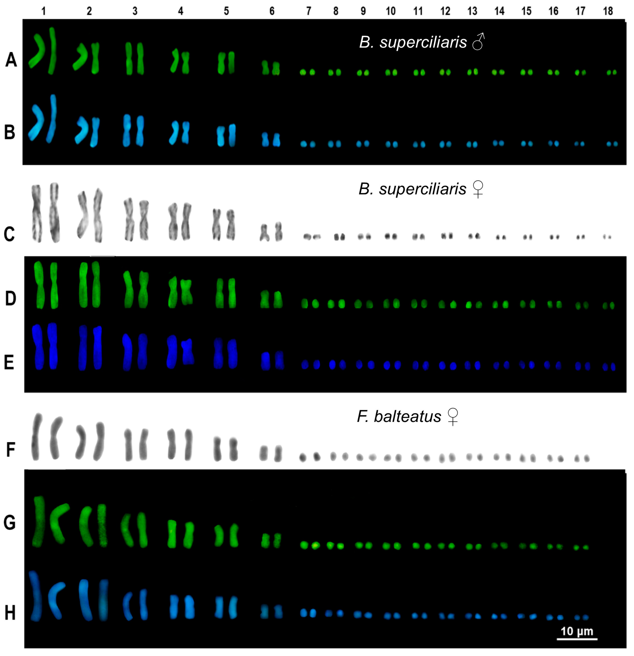 Animals 14 02818 g001 Animals 14 02818 g001
