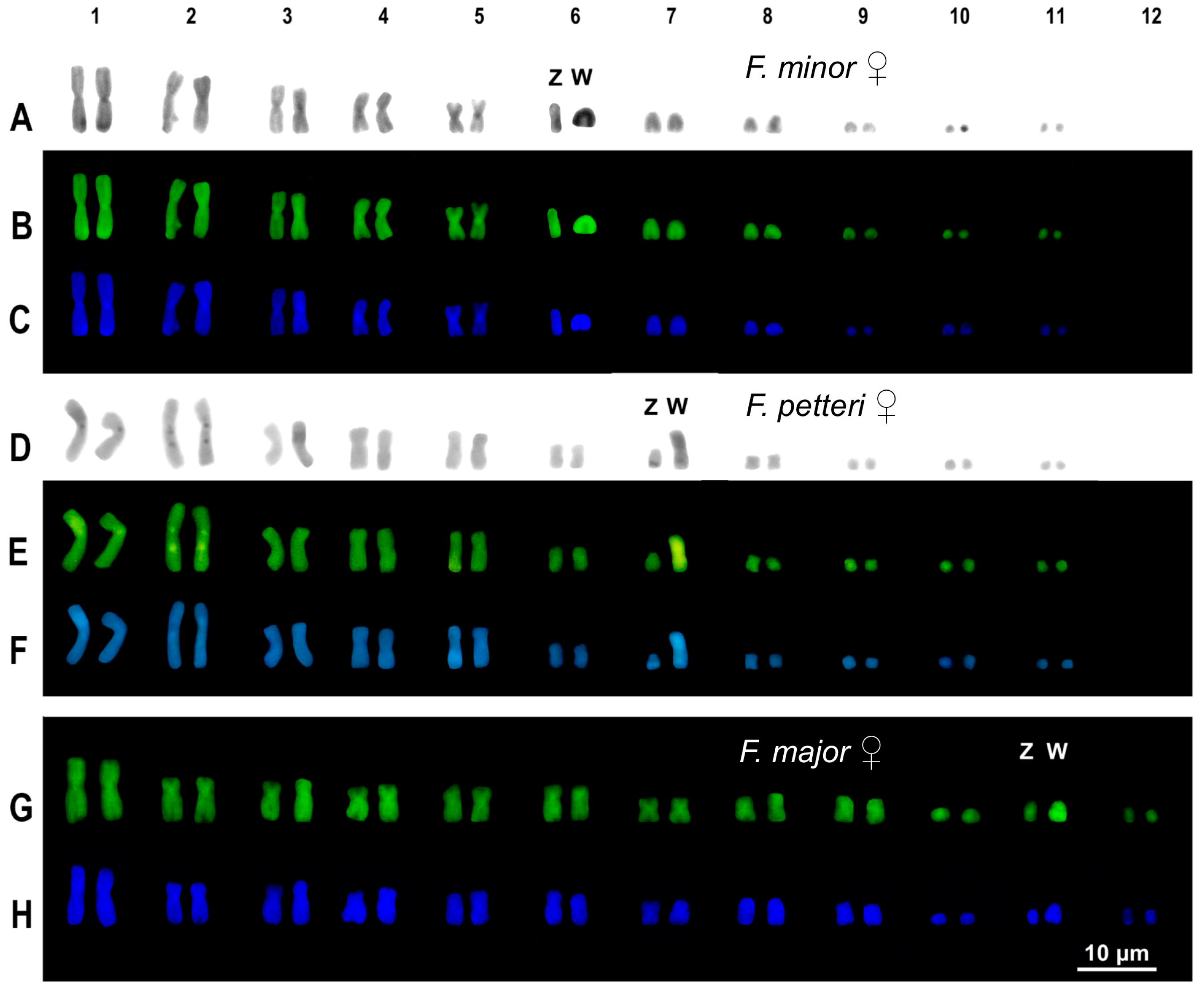 Animals 14 02818 g002 Animals 14 02818 g002