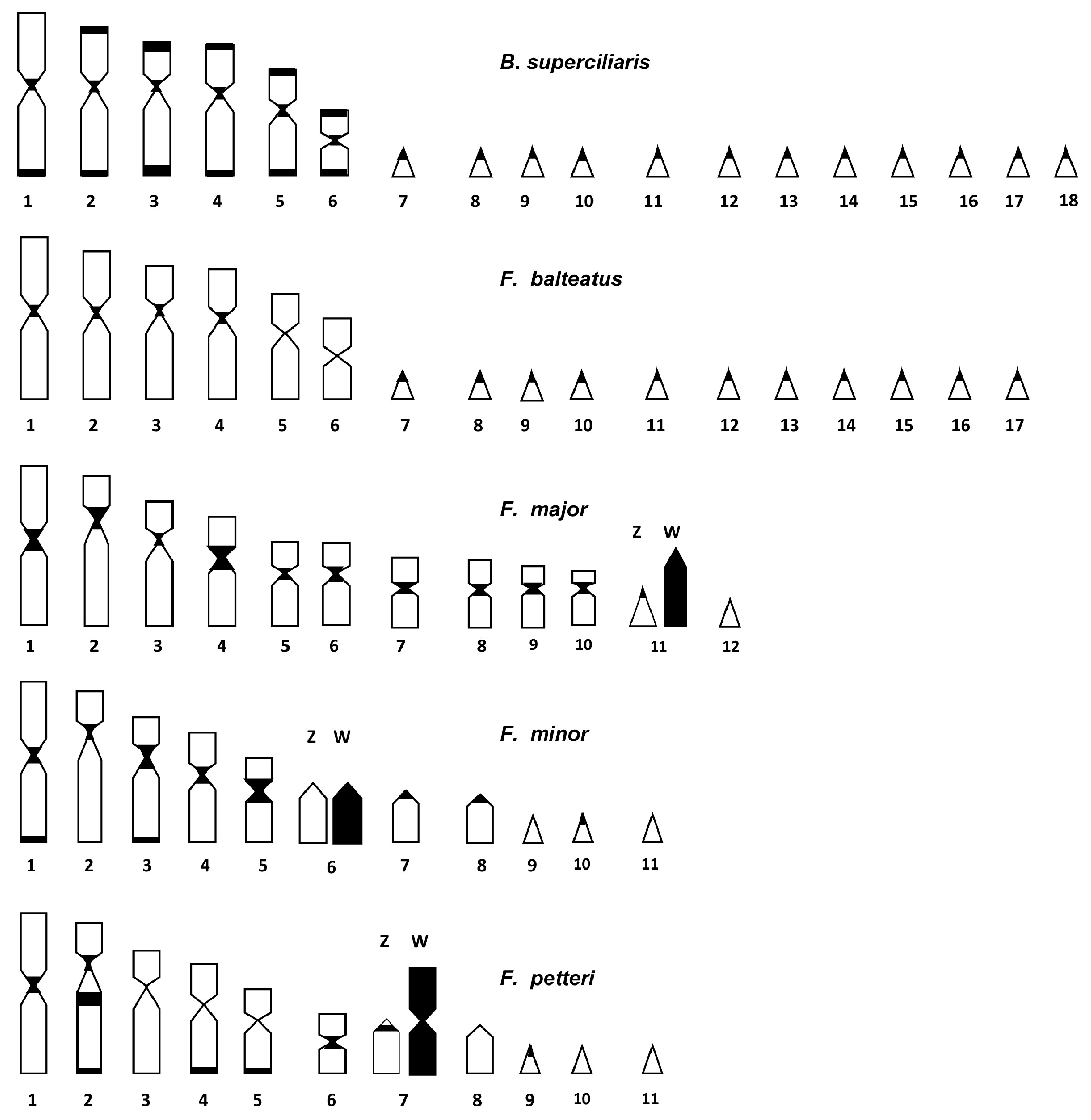 Animals 14 02818 g003 Animals 14 02818 g003