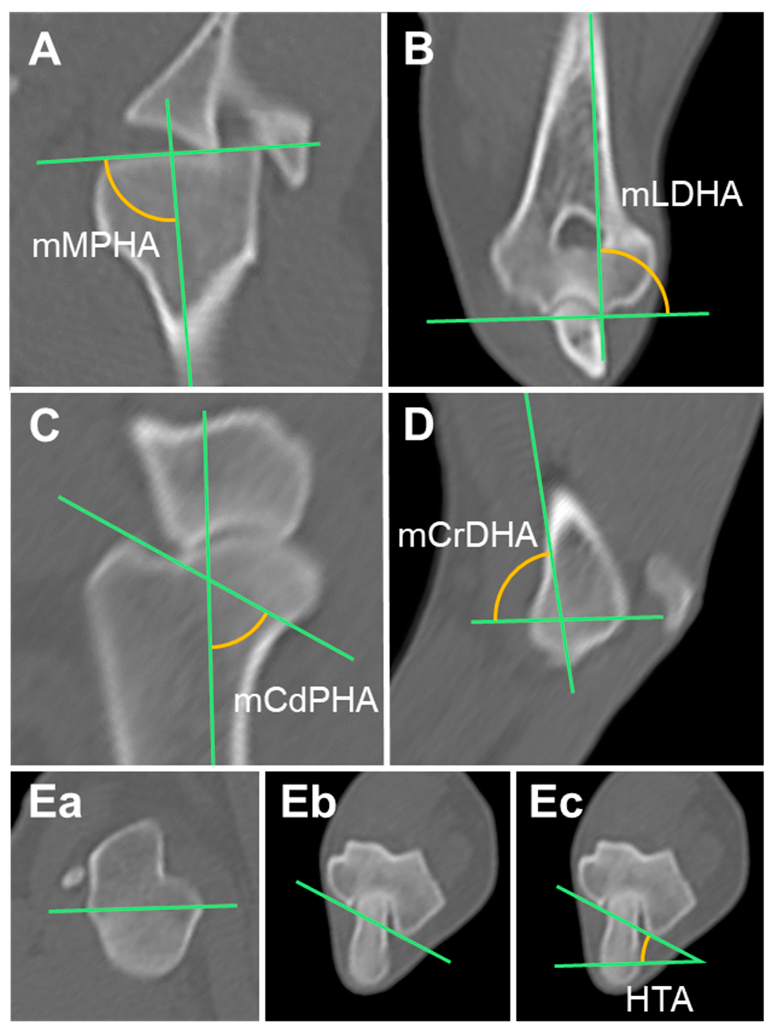 Animals 14 02827 g001 Animals 14 02827 g001