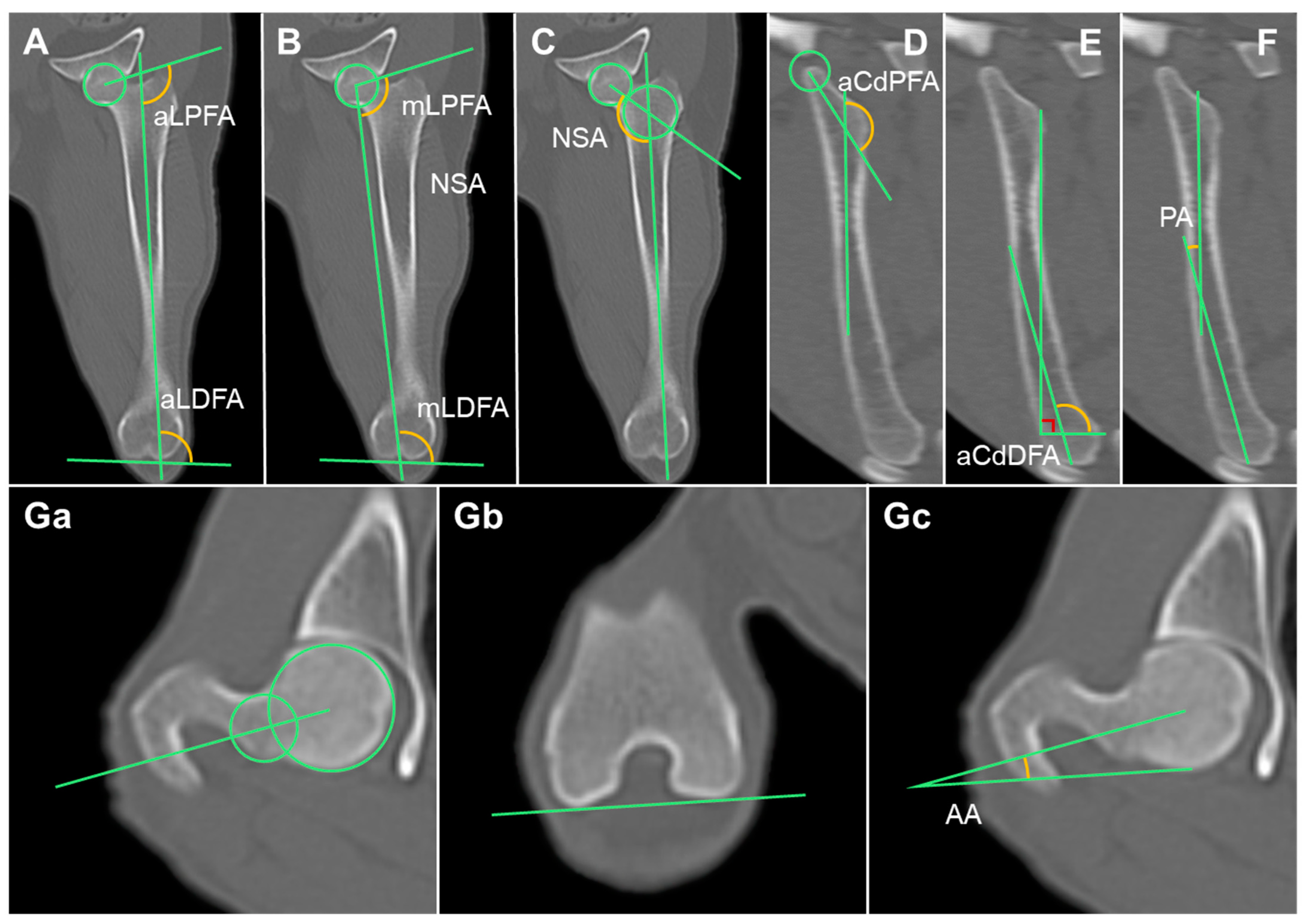 Animals 14 02827 g003 Animals 14 02827 g003