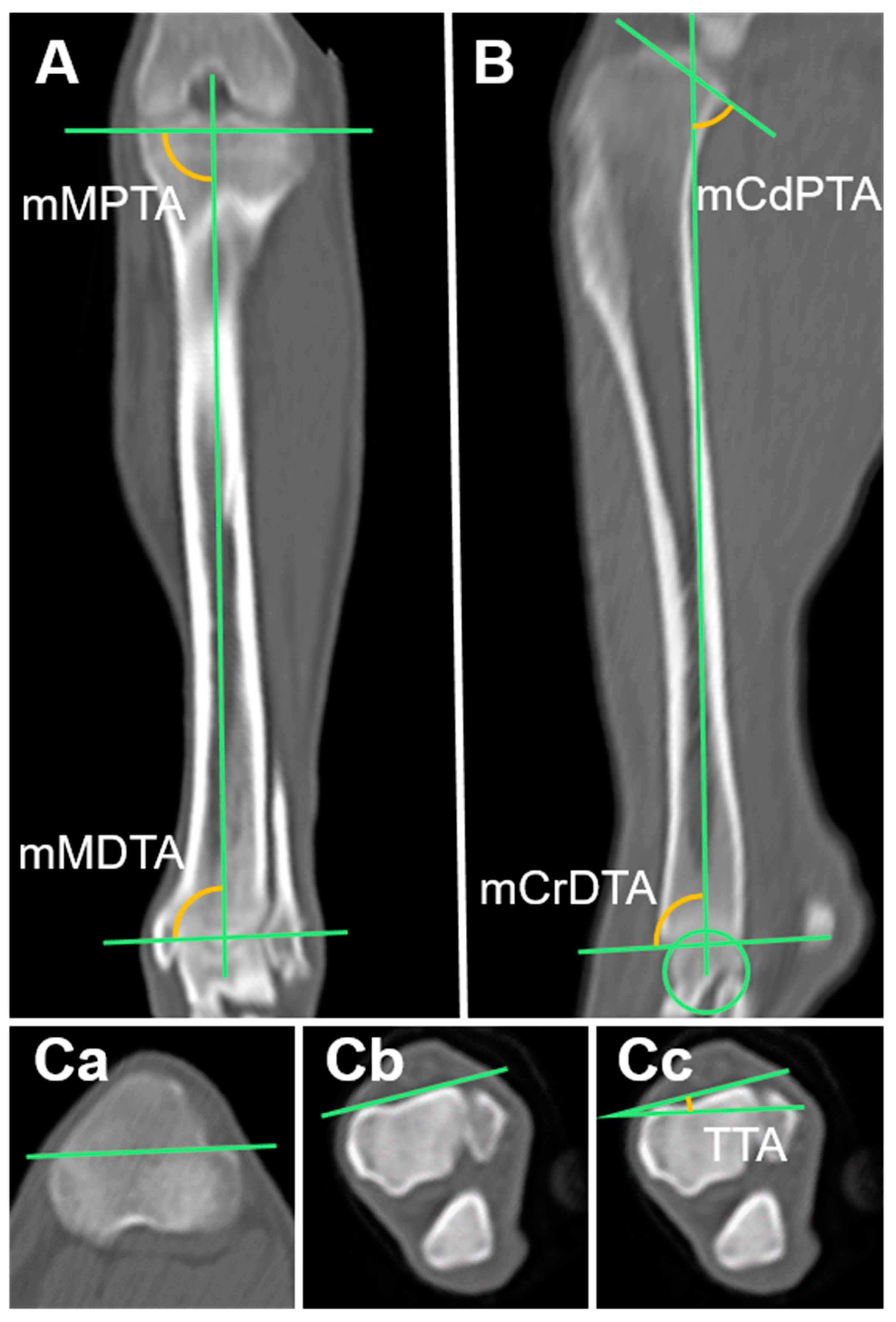 Animals 14 02827 g004 Animals 14 02827 g004