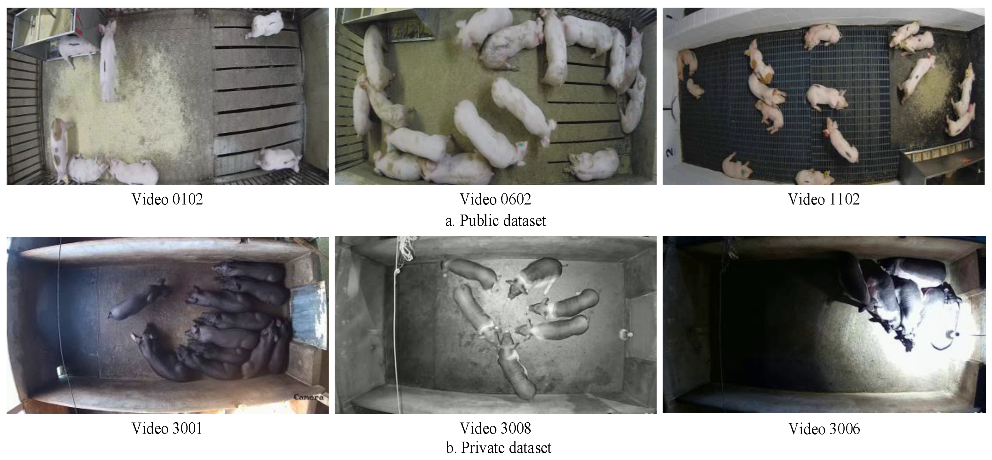 Animals 14 02828 g001