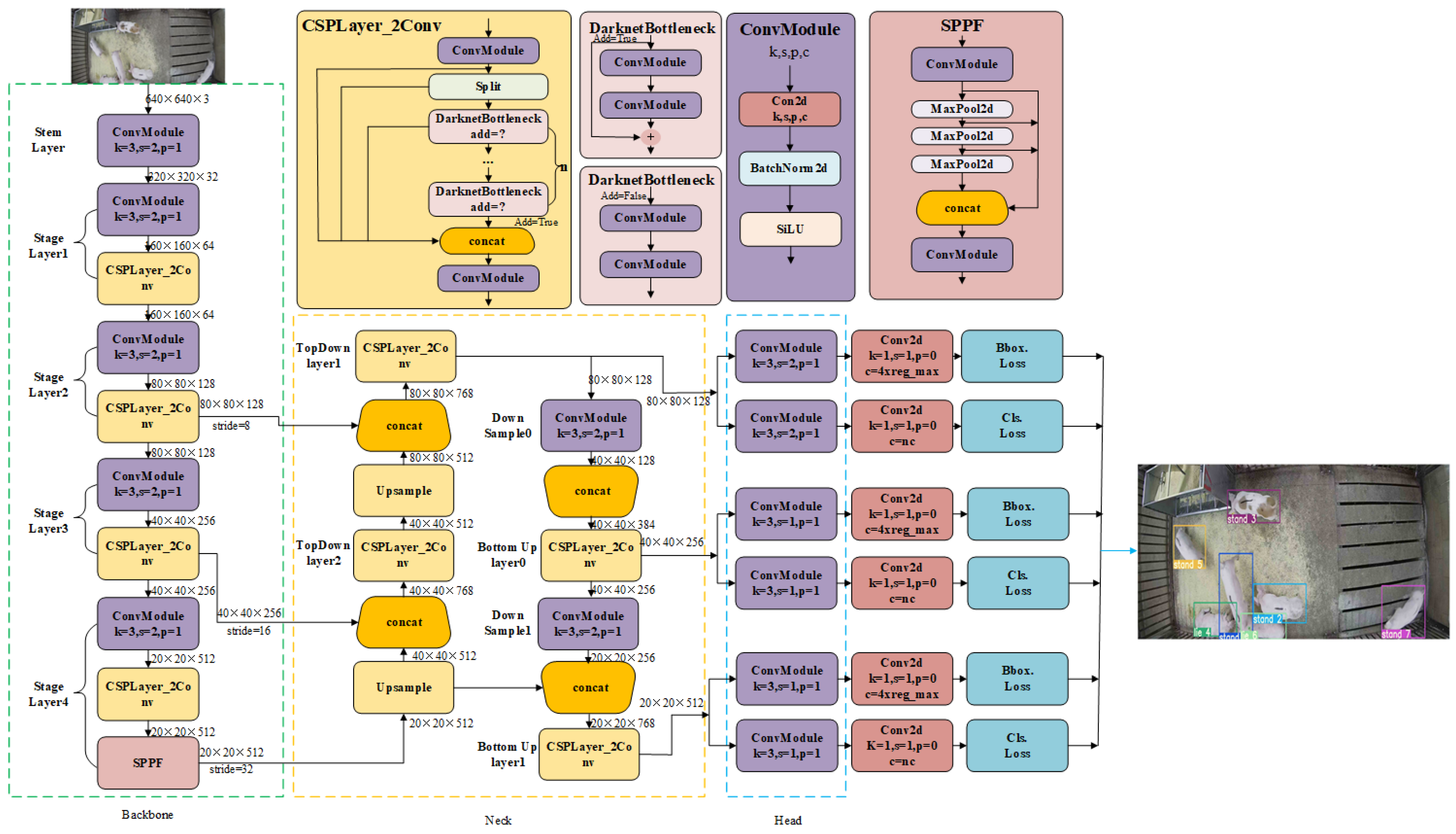 Animals 14 02828 g003