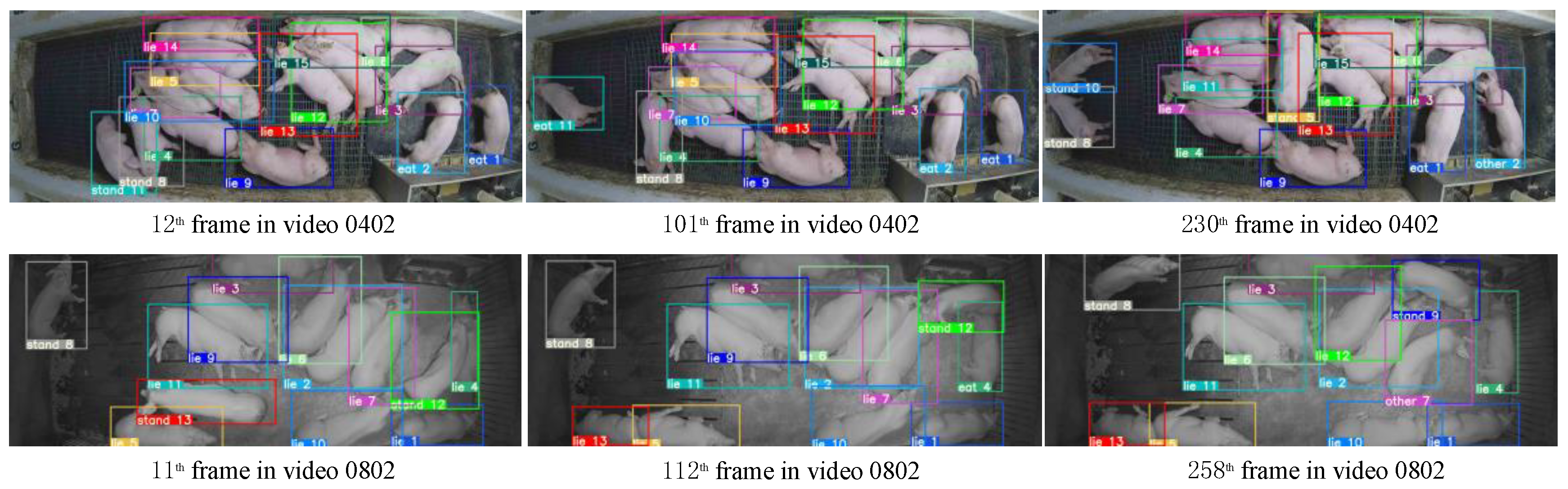 Animals 14 02828 g008