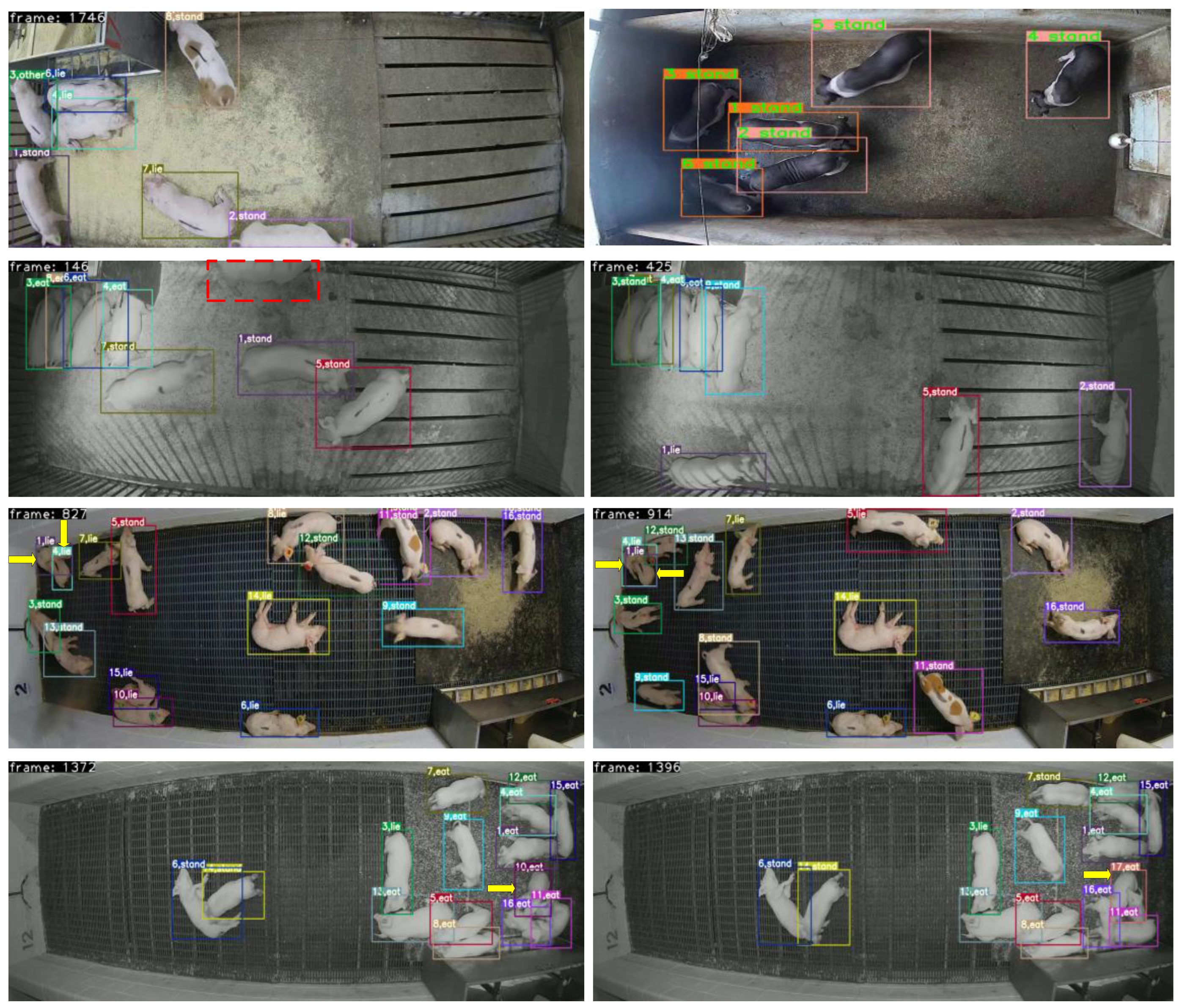 Animals 14 02828 g010