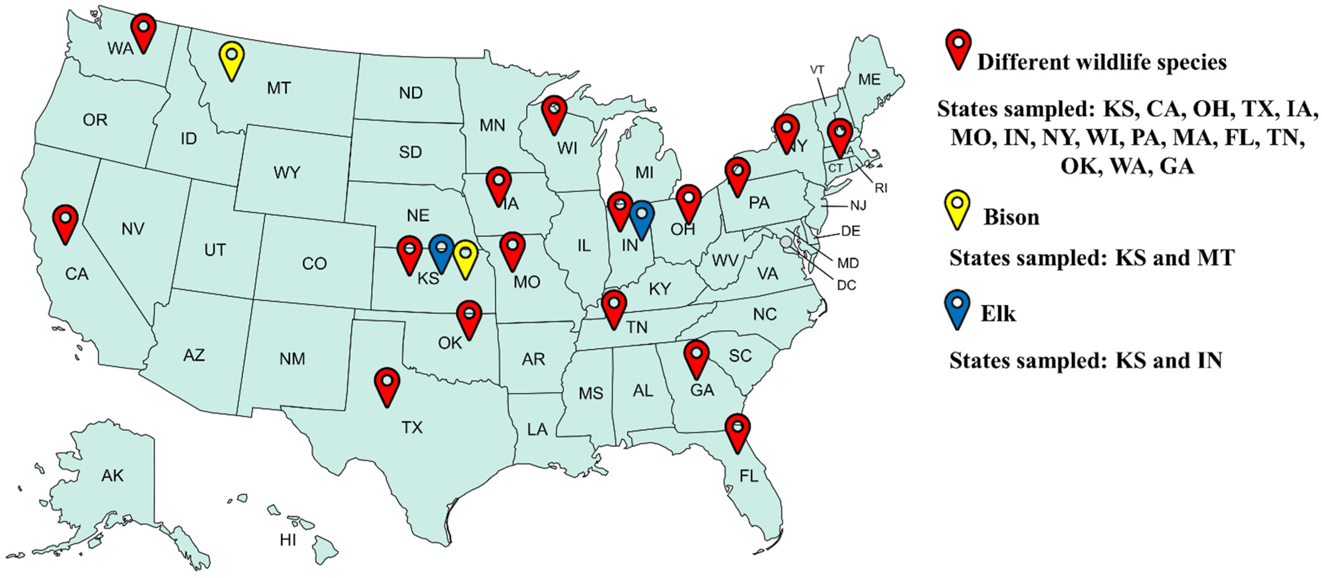 Animals 14 02829 g001 Animals 14 02829 g001