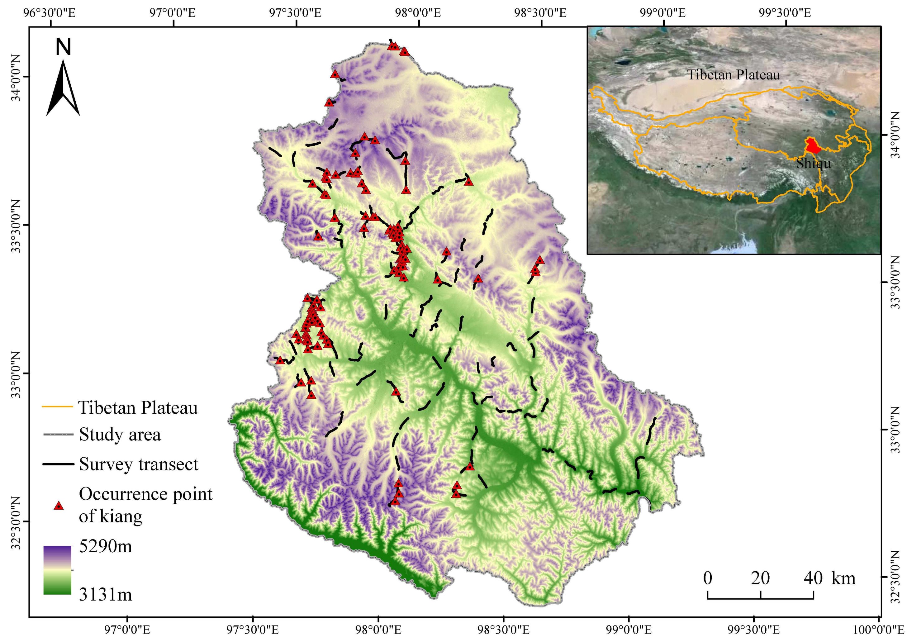 Animals 14 02840 g001
