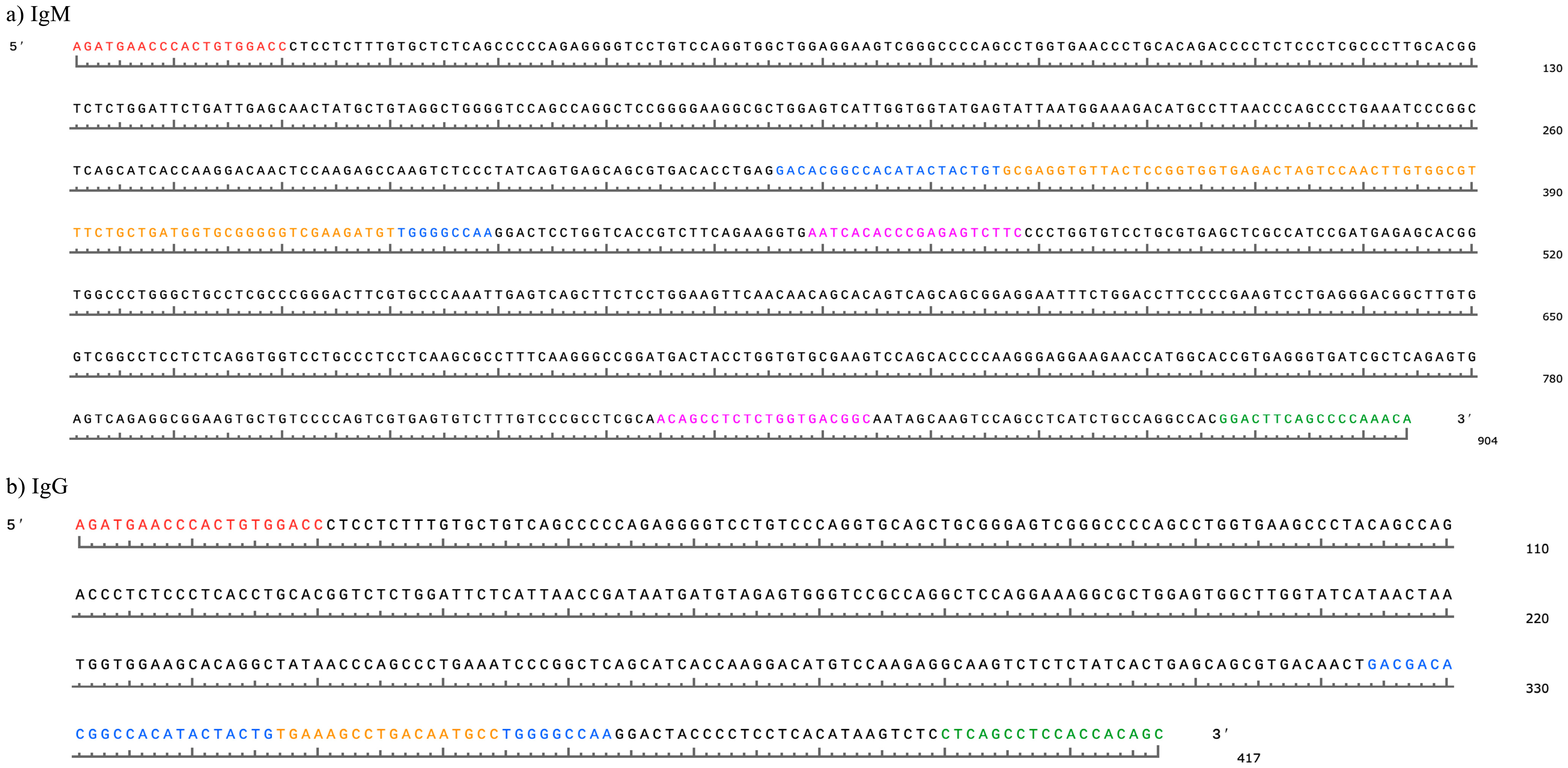 Animals 14 02841 g001