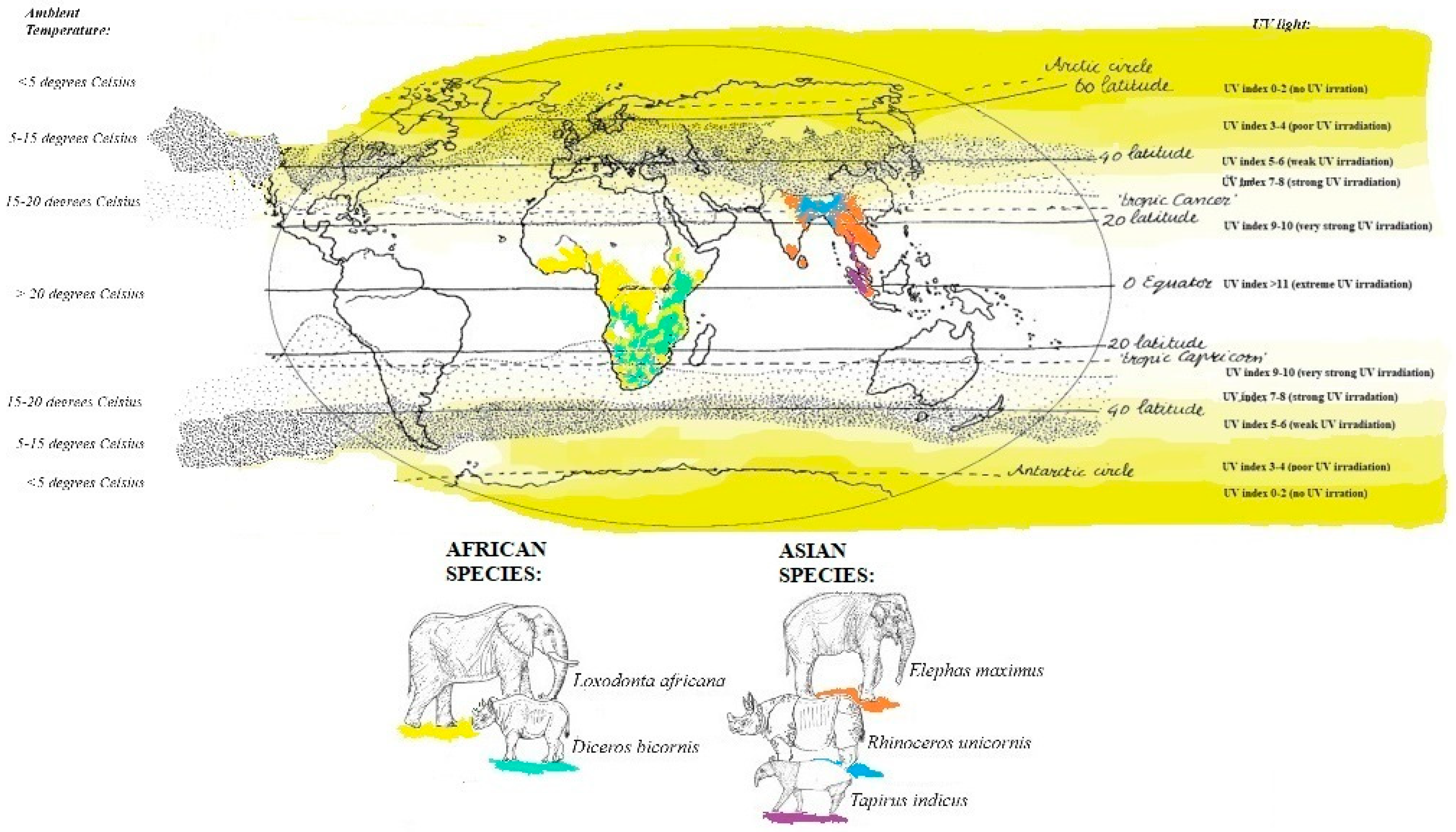 Animals 14 02843 g001 Animals 14 02843 g001