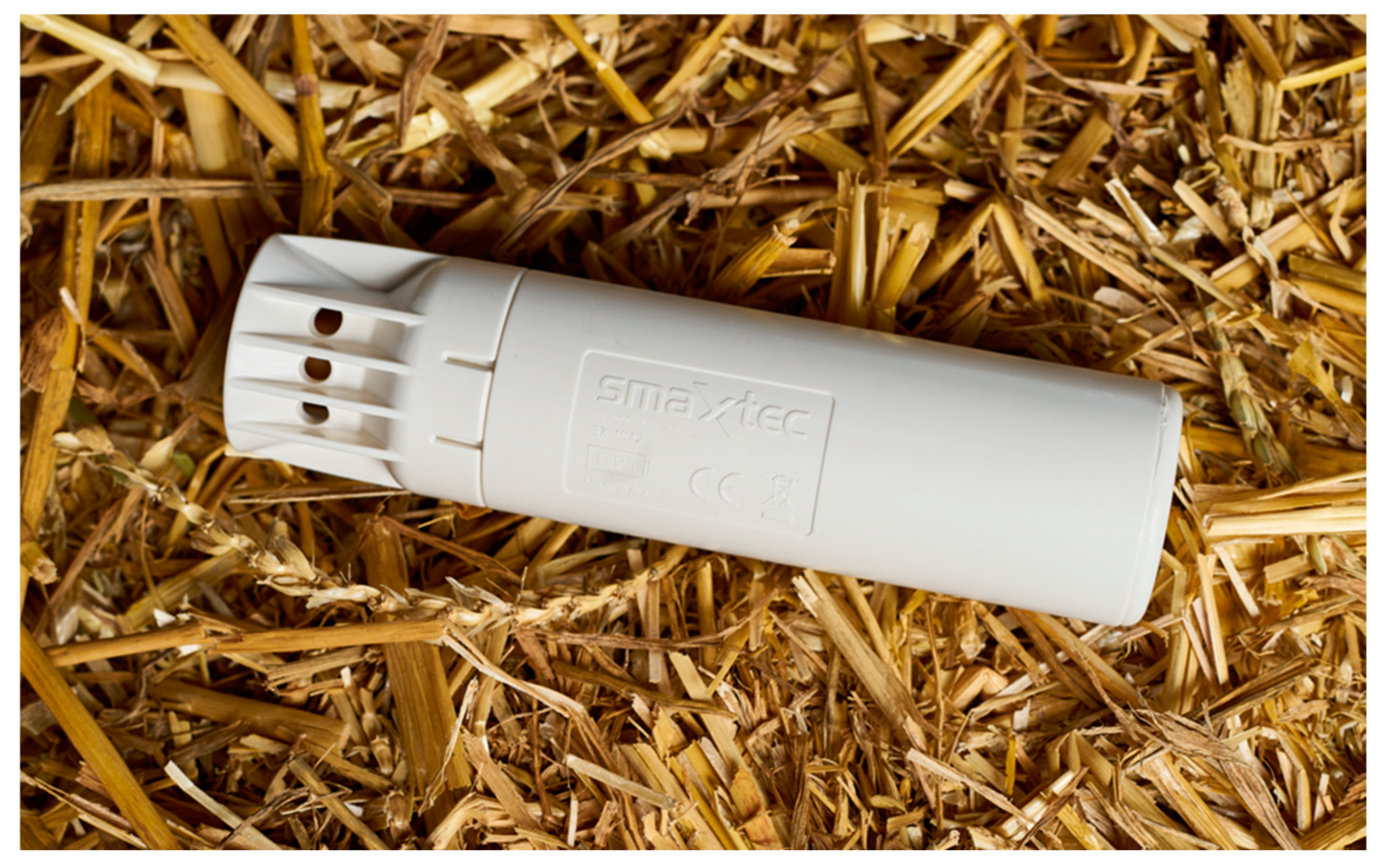 Animals 14 02848 g001