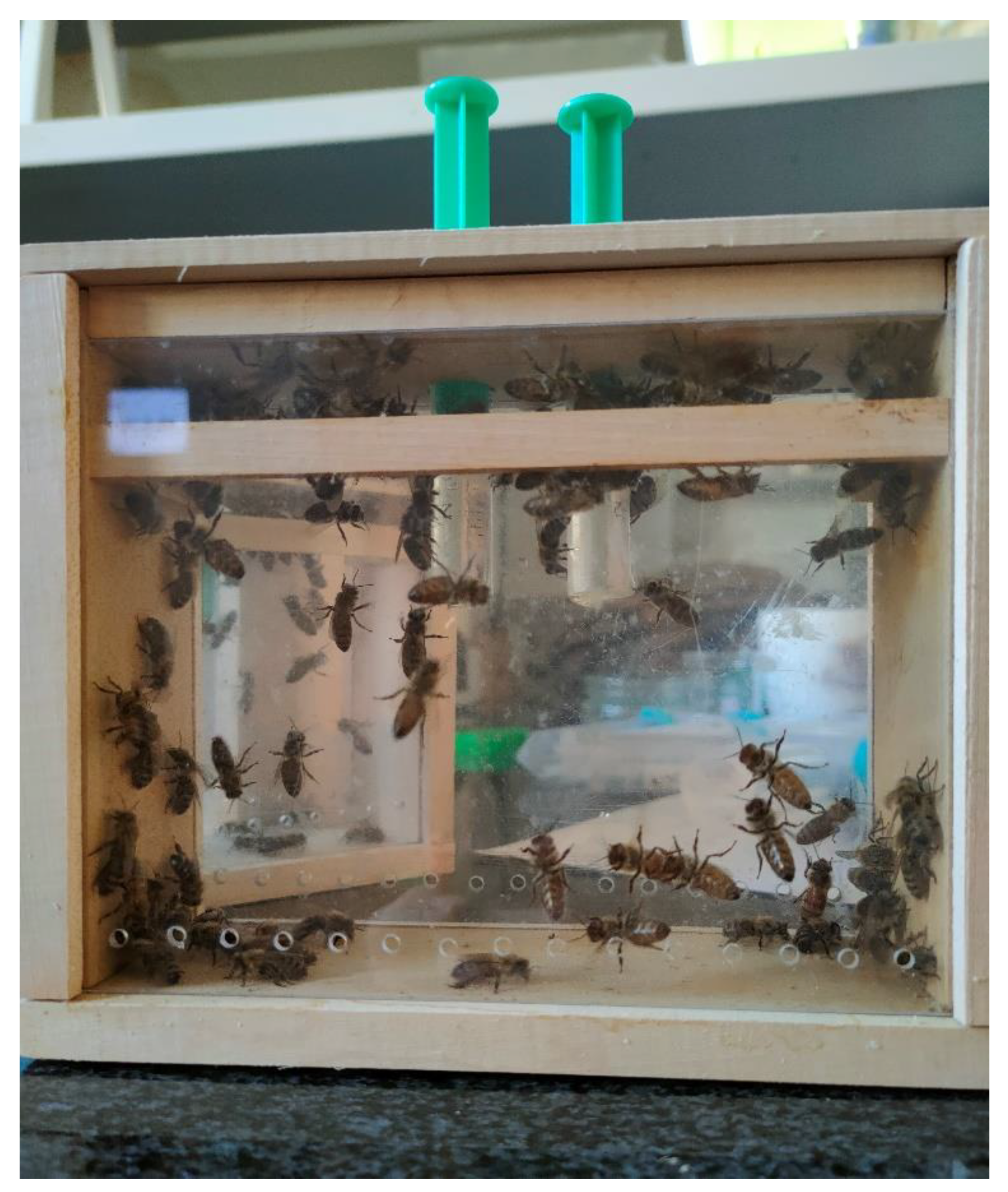 Animals 14 02857 g003