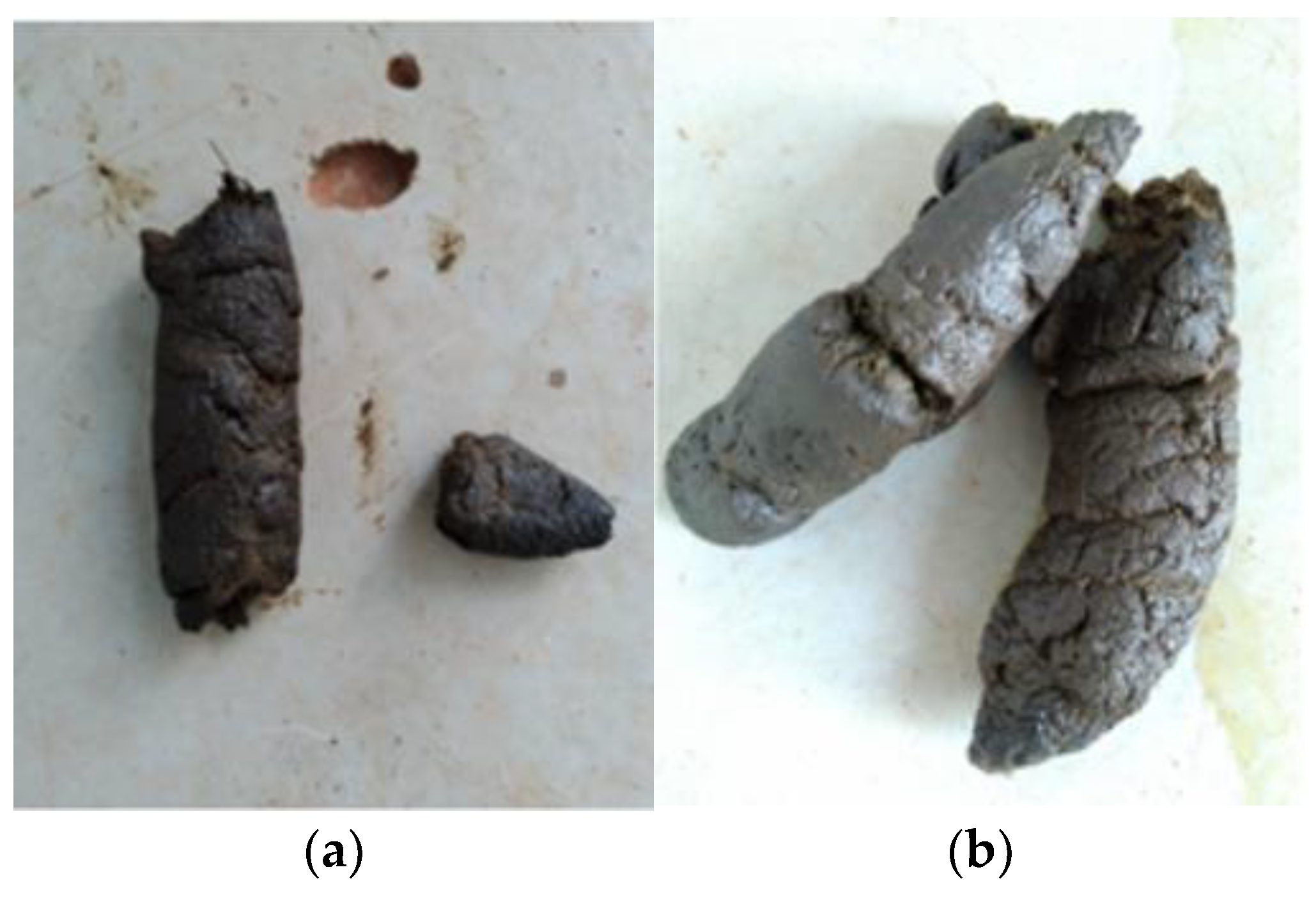 Animals 14 02859 g002 Animals 14 02859 g002