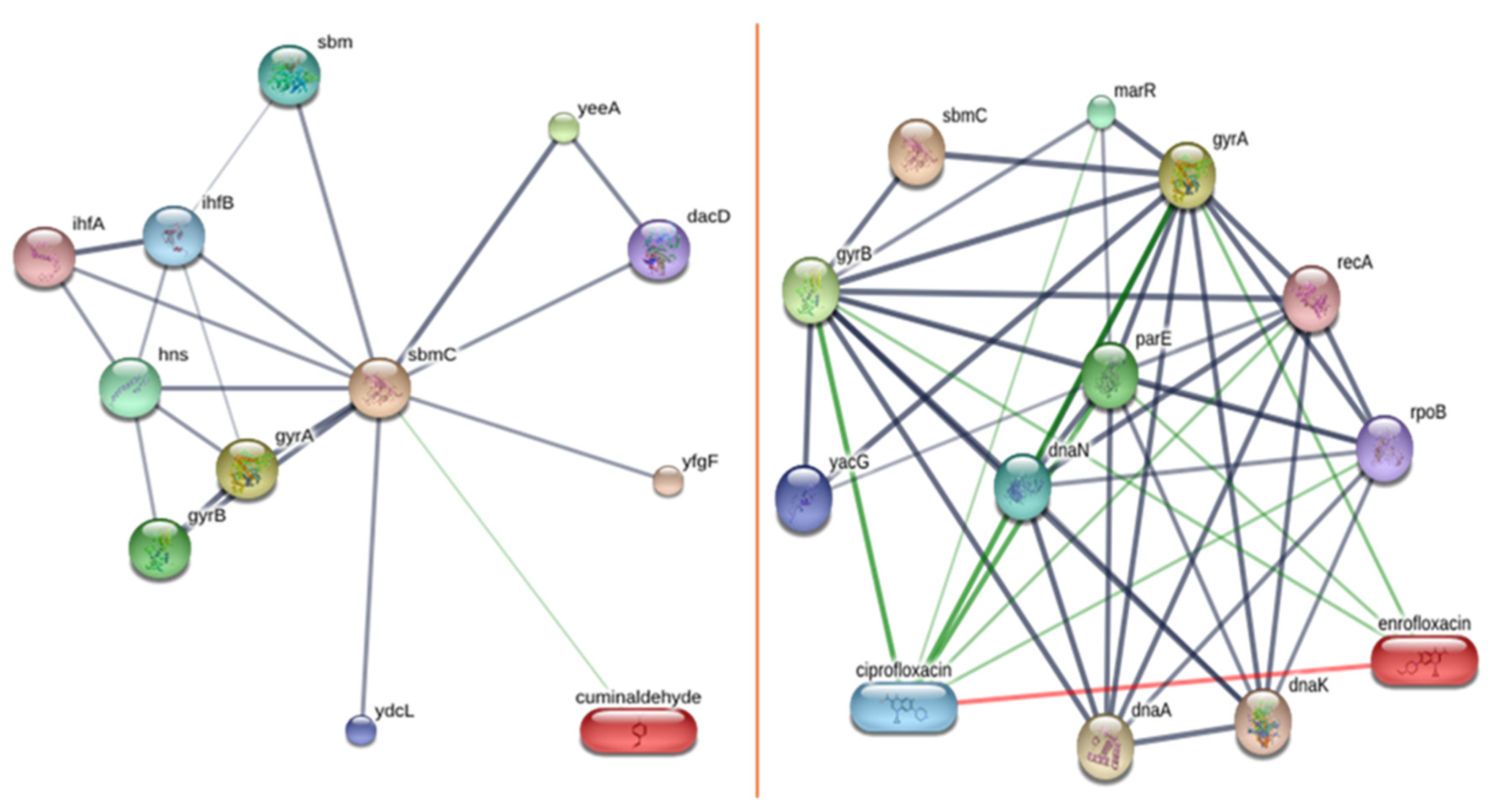 Animals 14 02860 g007