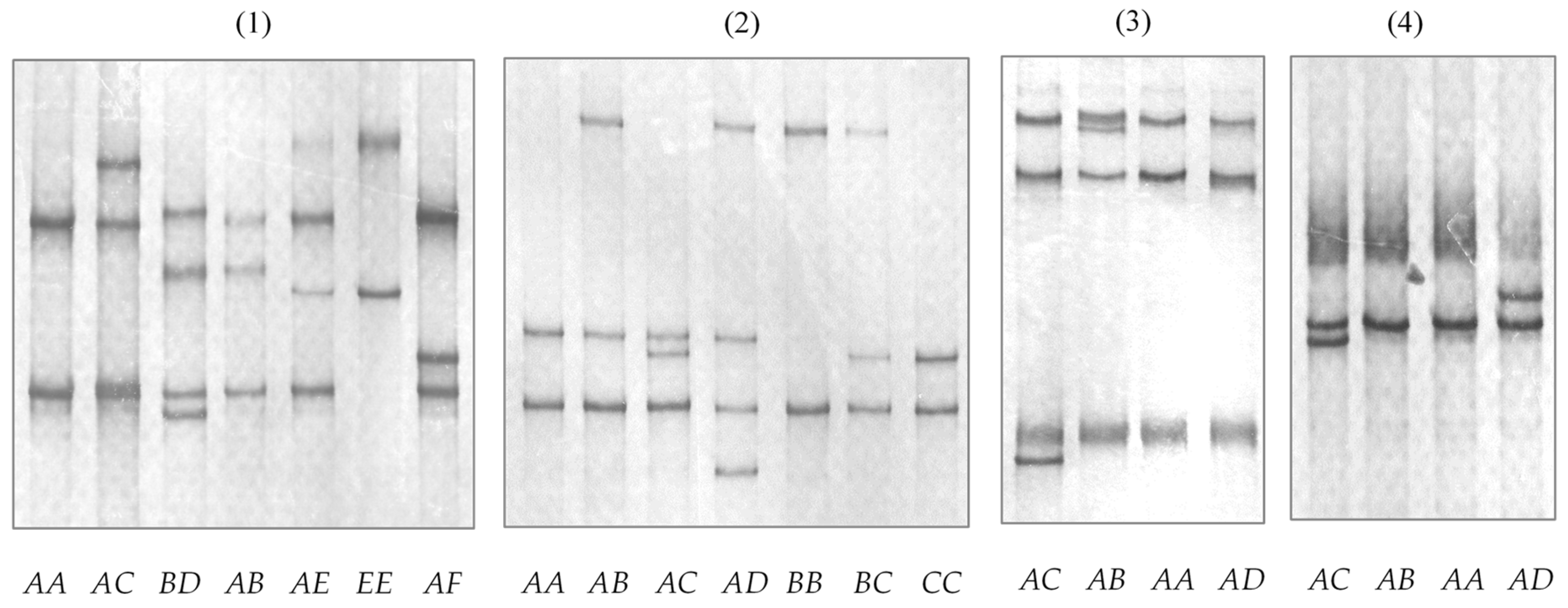 Animals 14 02862 g003