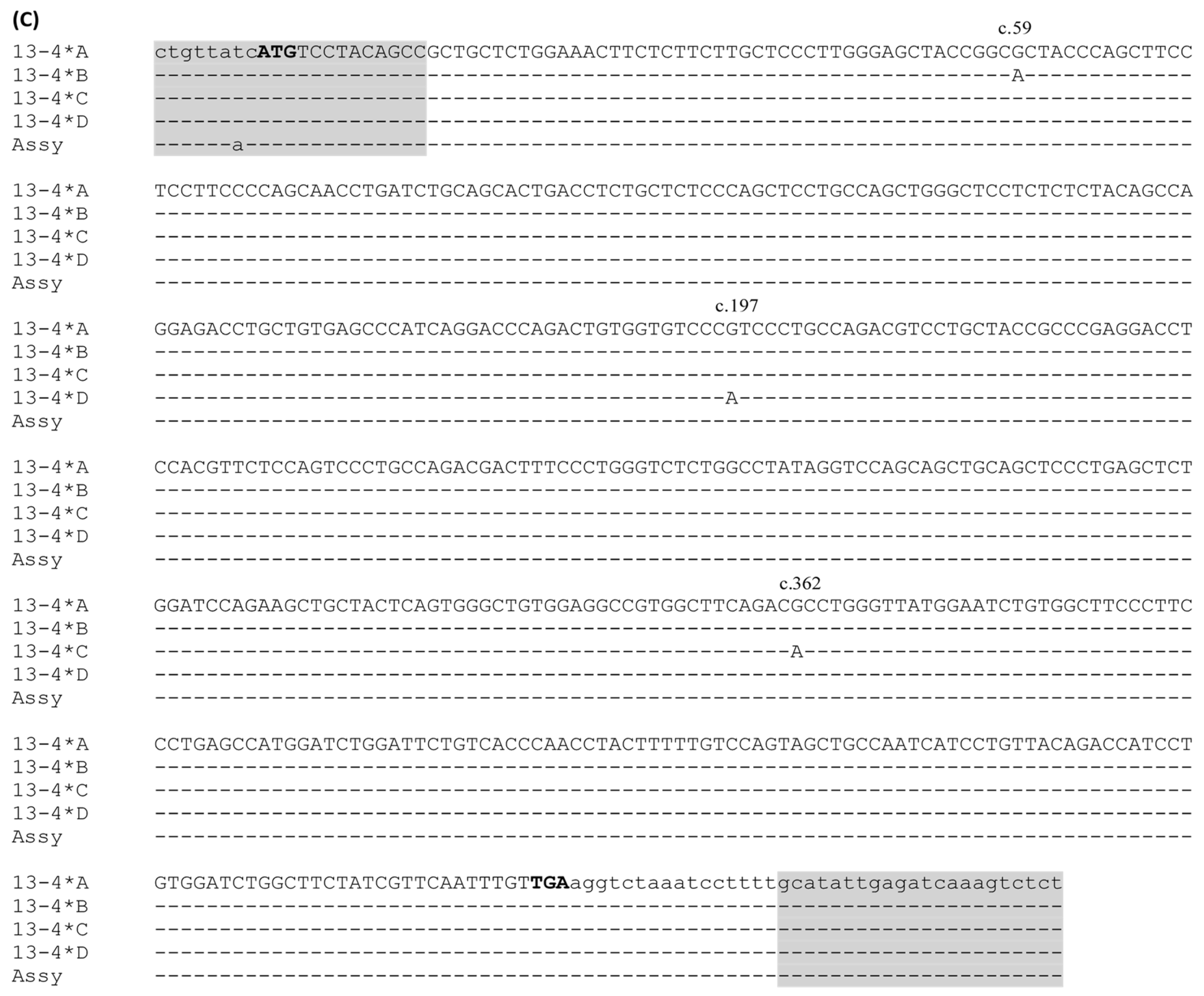 Animals 14 02862 g004c