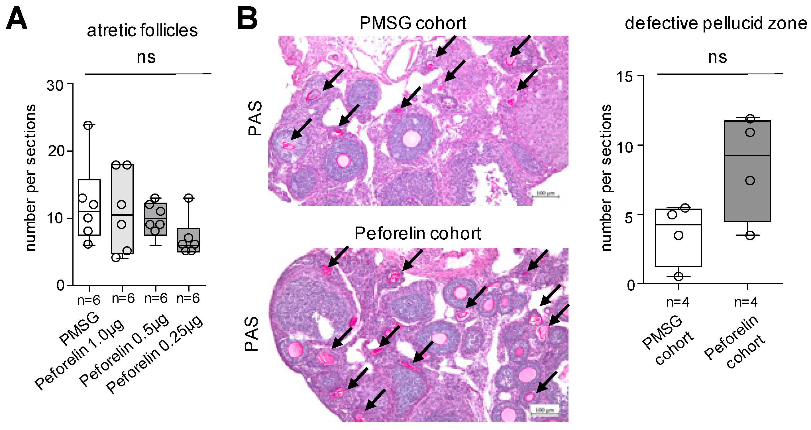 Animals 14 02866 g003