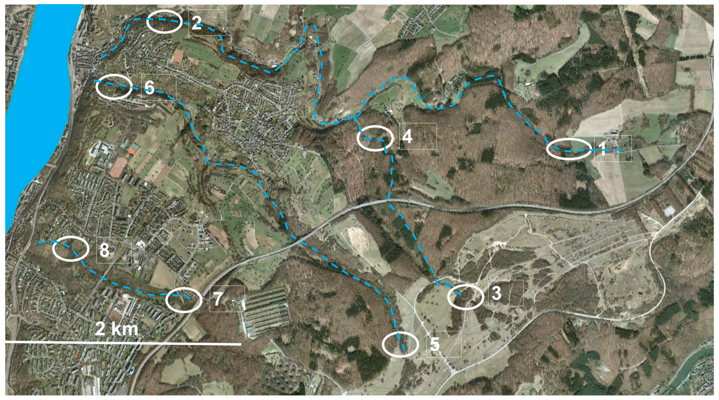 Animals 14 02869 g001