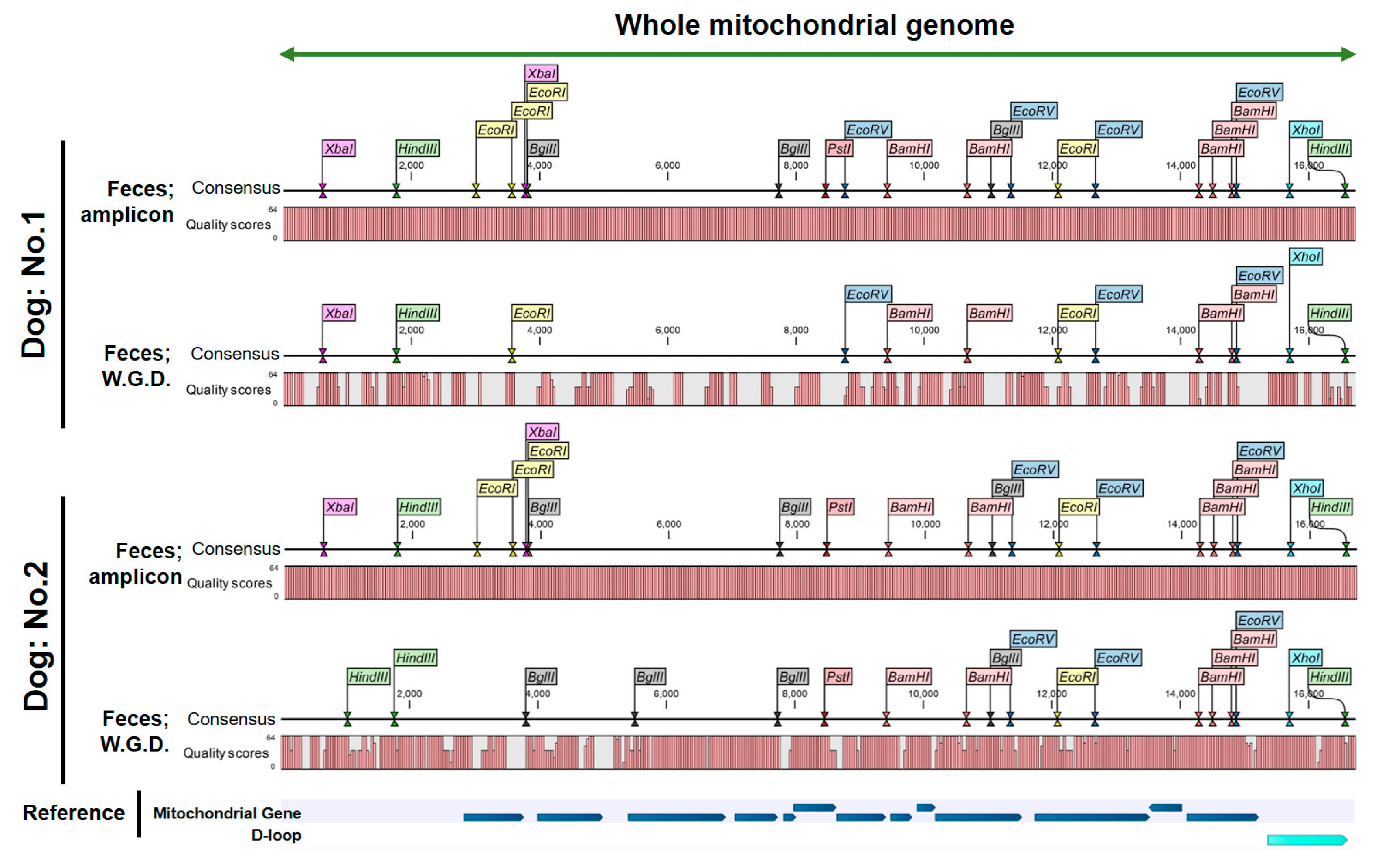 Animals 14 02872 g005