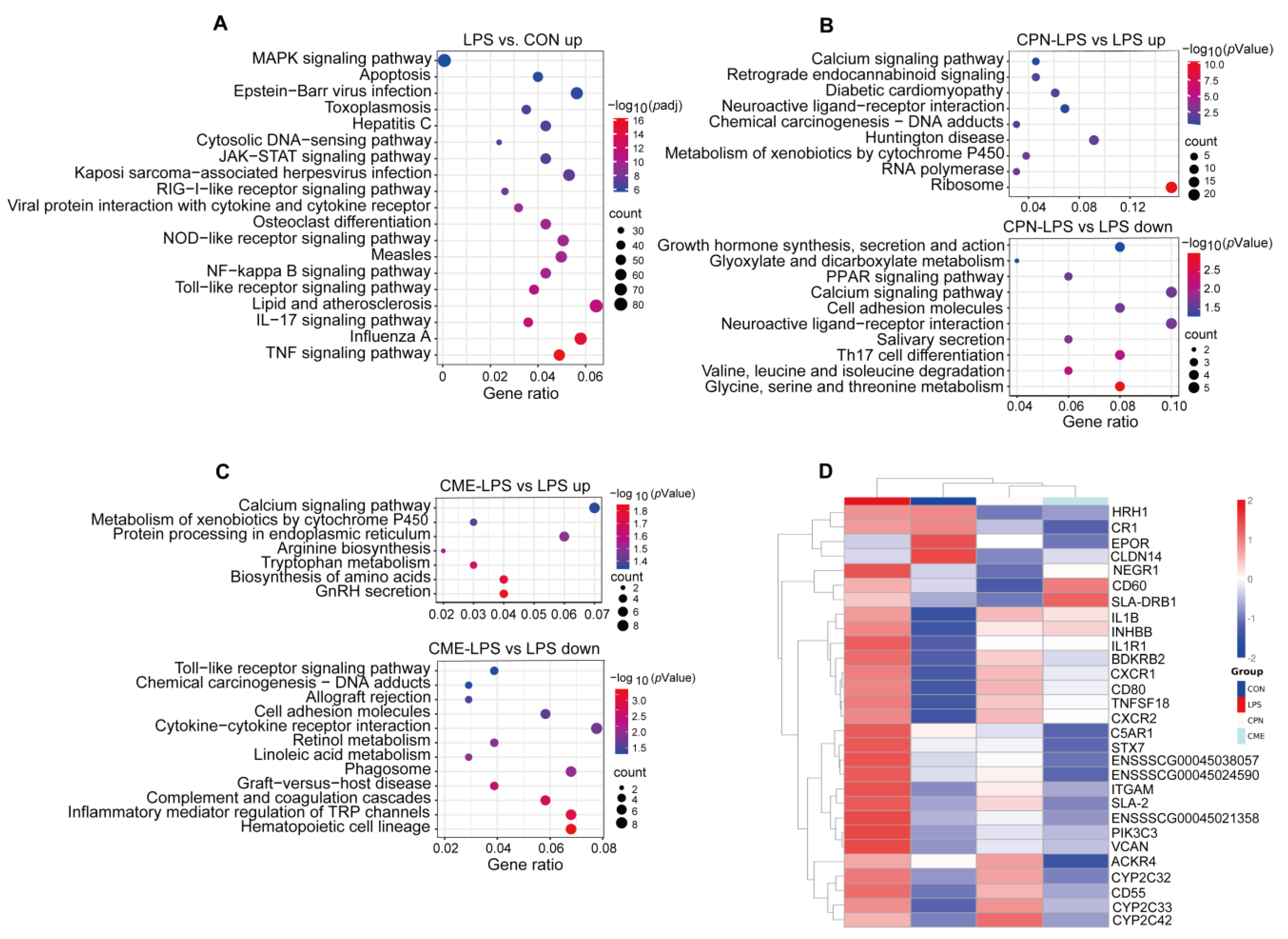 Animals 14 02873 g003
