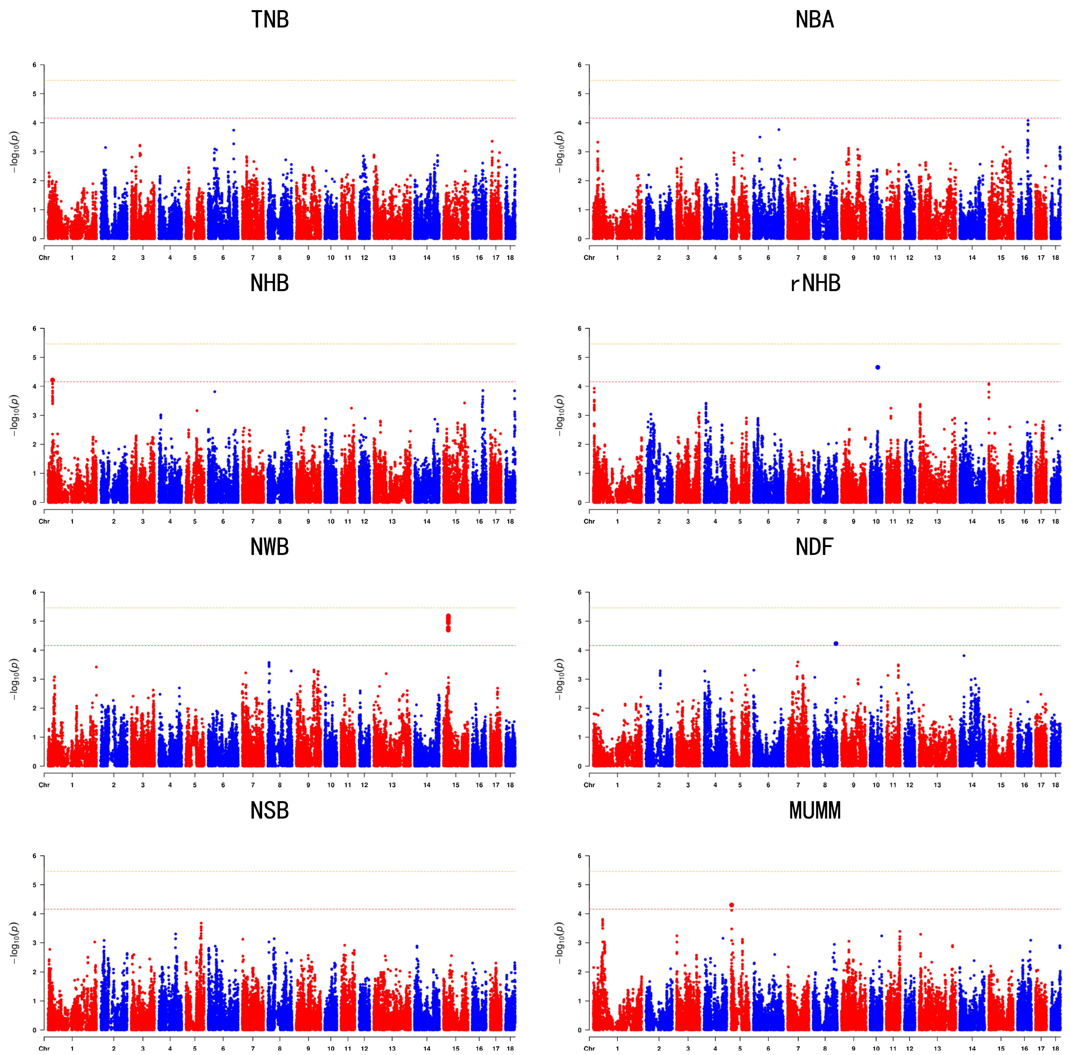 Animals 14 02874 g001