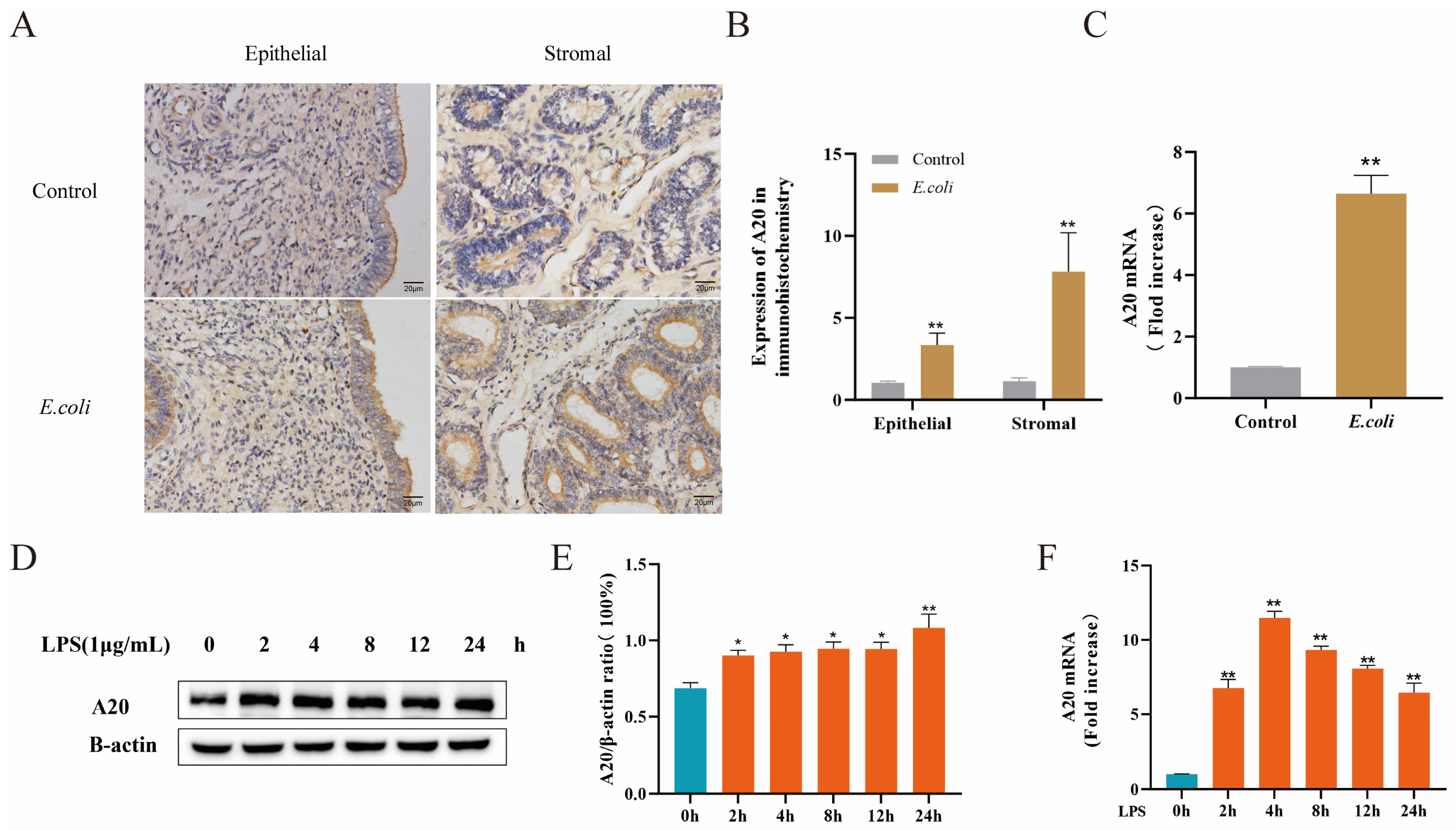 Animals 14 02876 g002 Animals 14 02876 g002