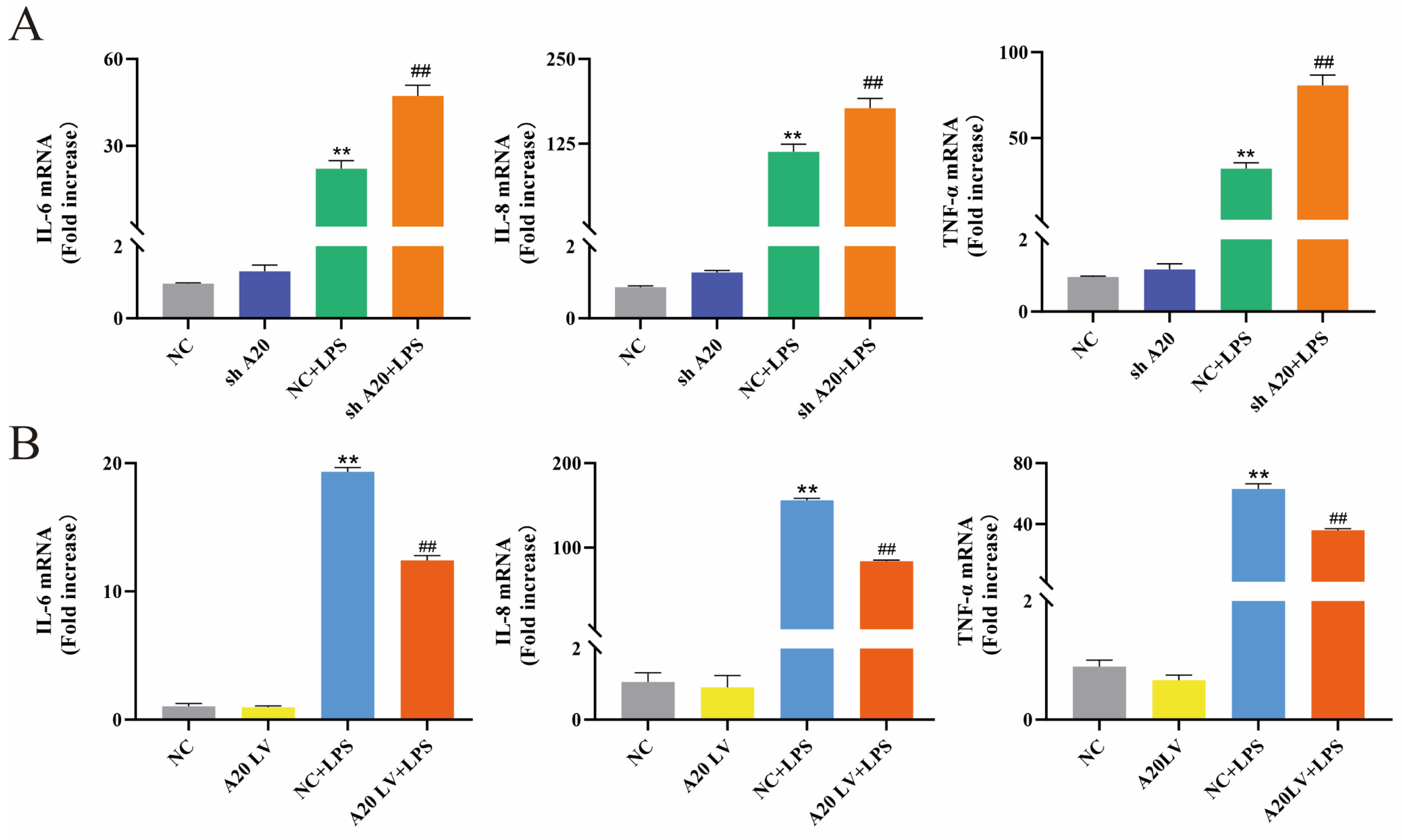 Animals 14 02876 g004 Animals 14 02876 g004