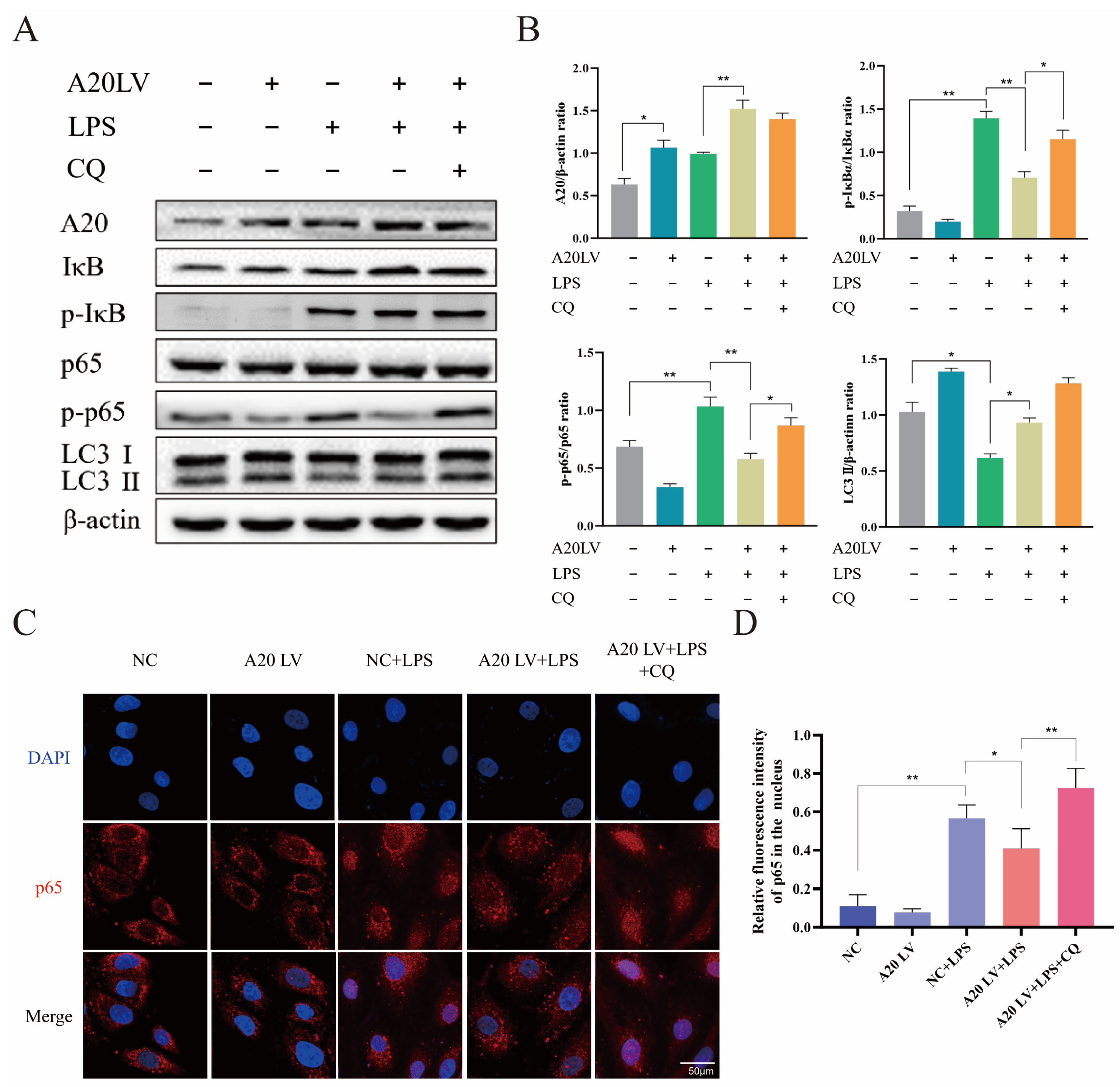 Animals 14 02876 g005 Animals 14 02876 g005