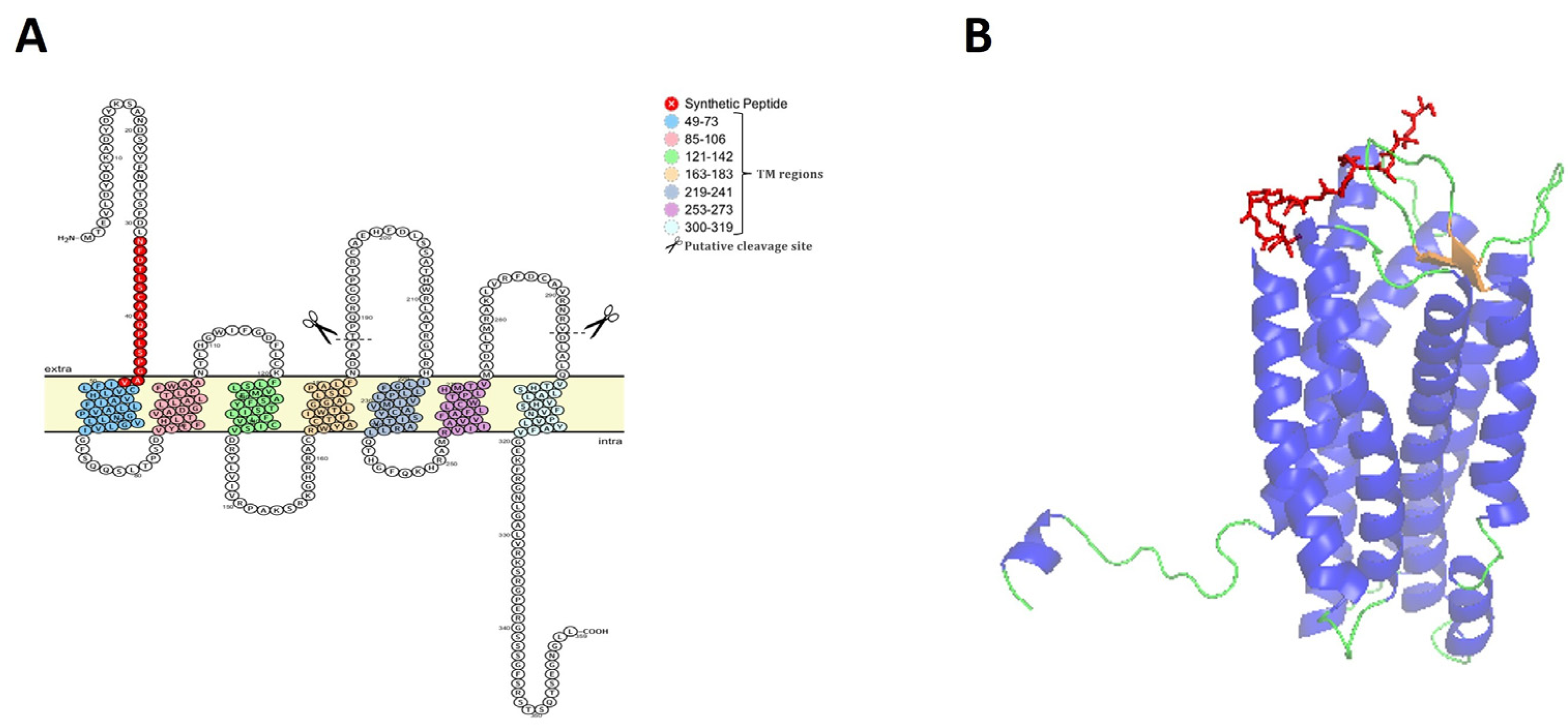 Animals 14 02878 g001