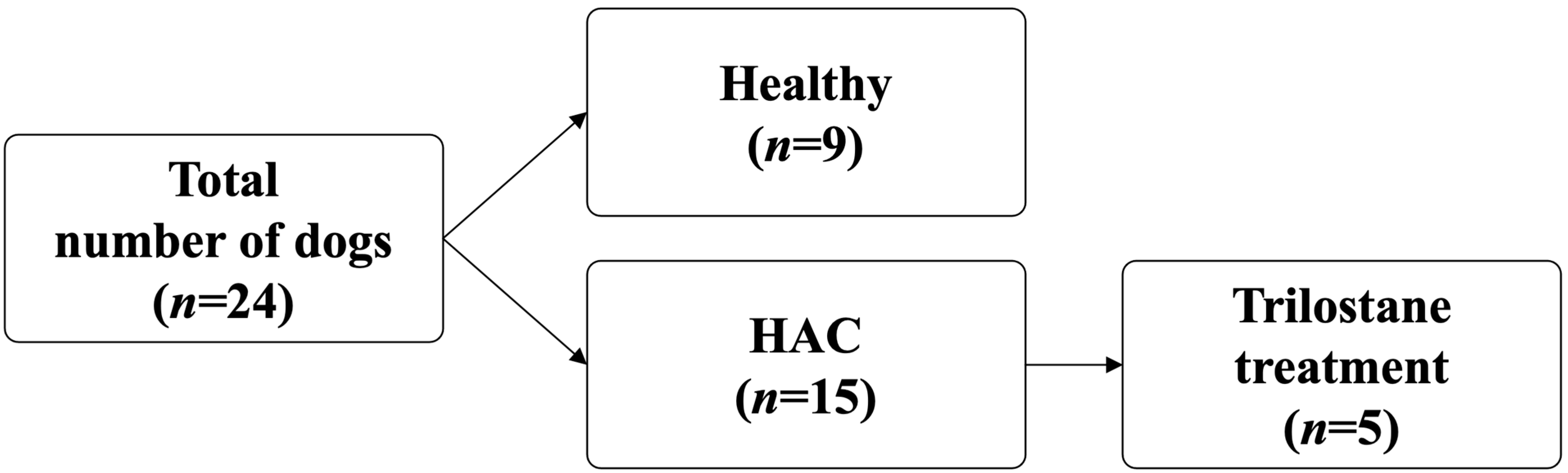 Animals 14 02883 g001