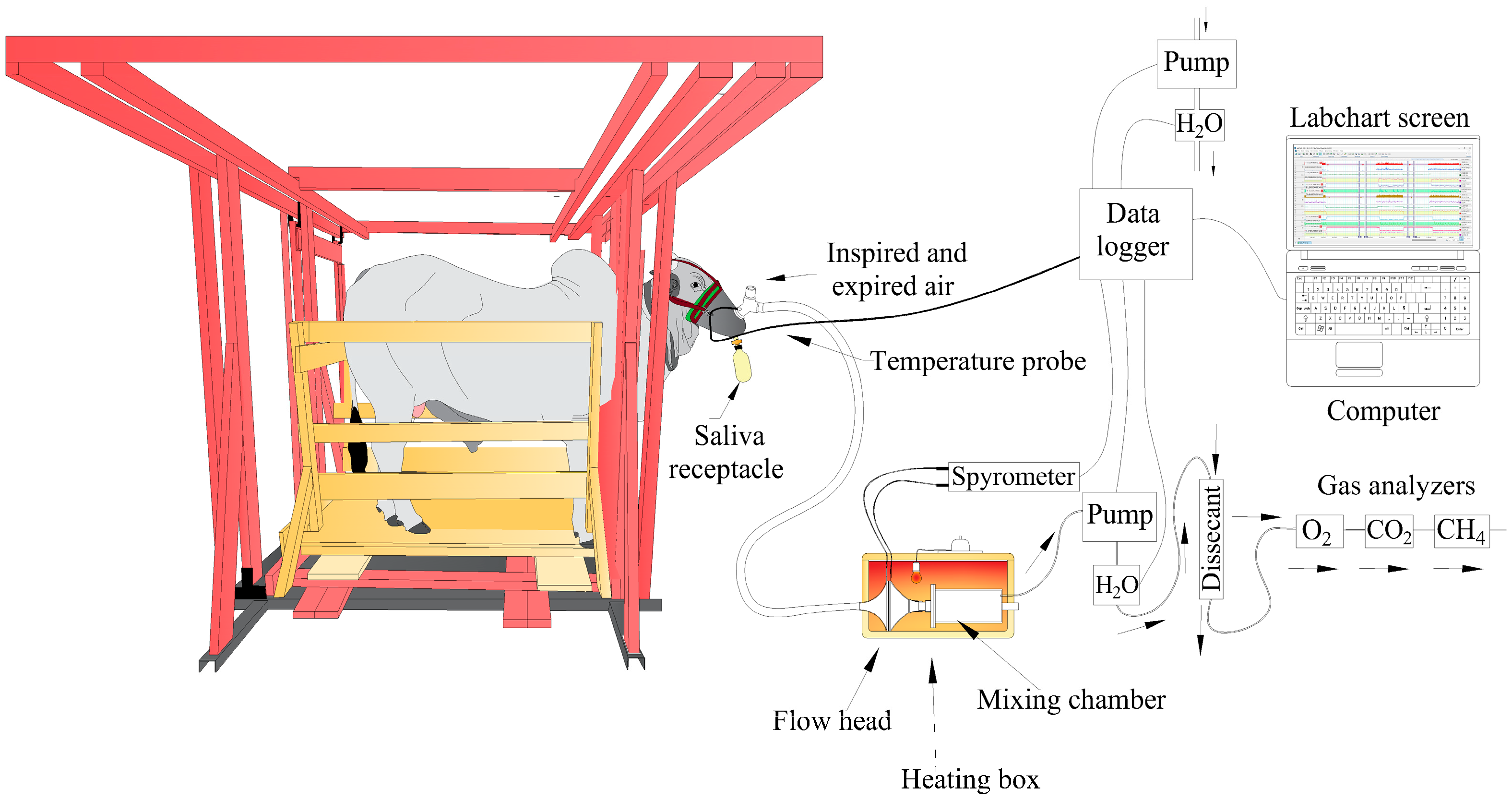 Animals 14 02888 g002 Animals 14 02888 g002